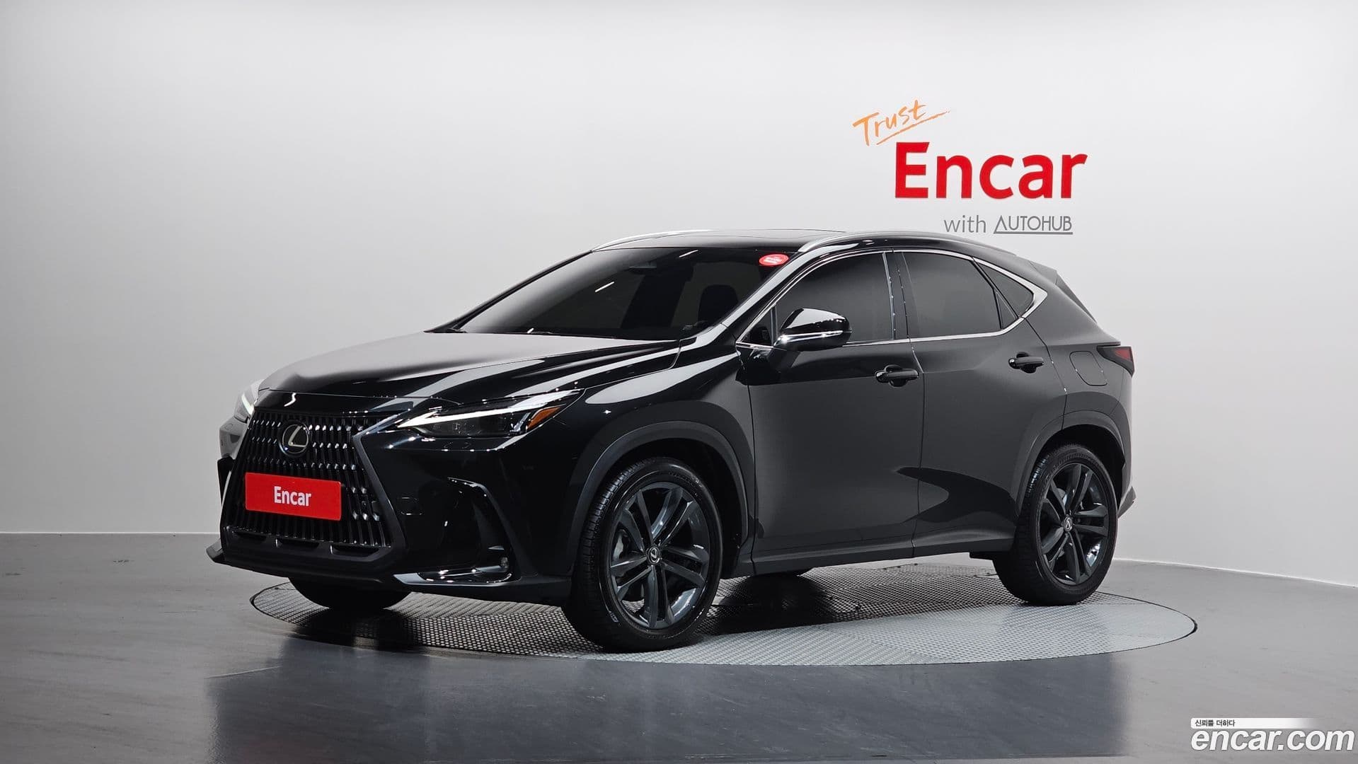 Main__Slider__Photo:NX Lexus 2024.11-0