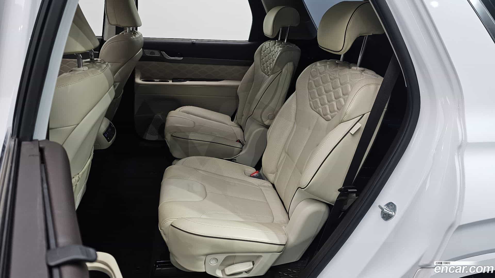 Palisade Hyundai 2021.3-OPTION-016