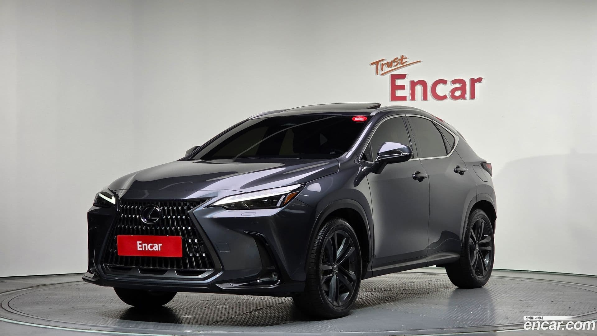 Main__Slider__Photo:NX Lexus 2024.4-0