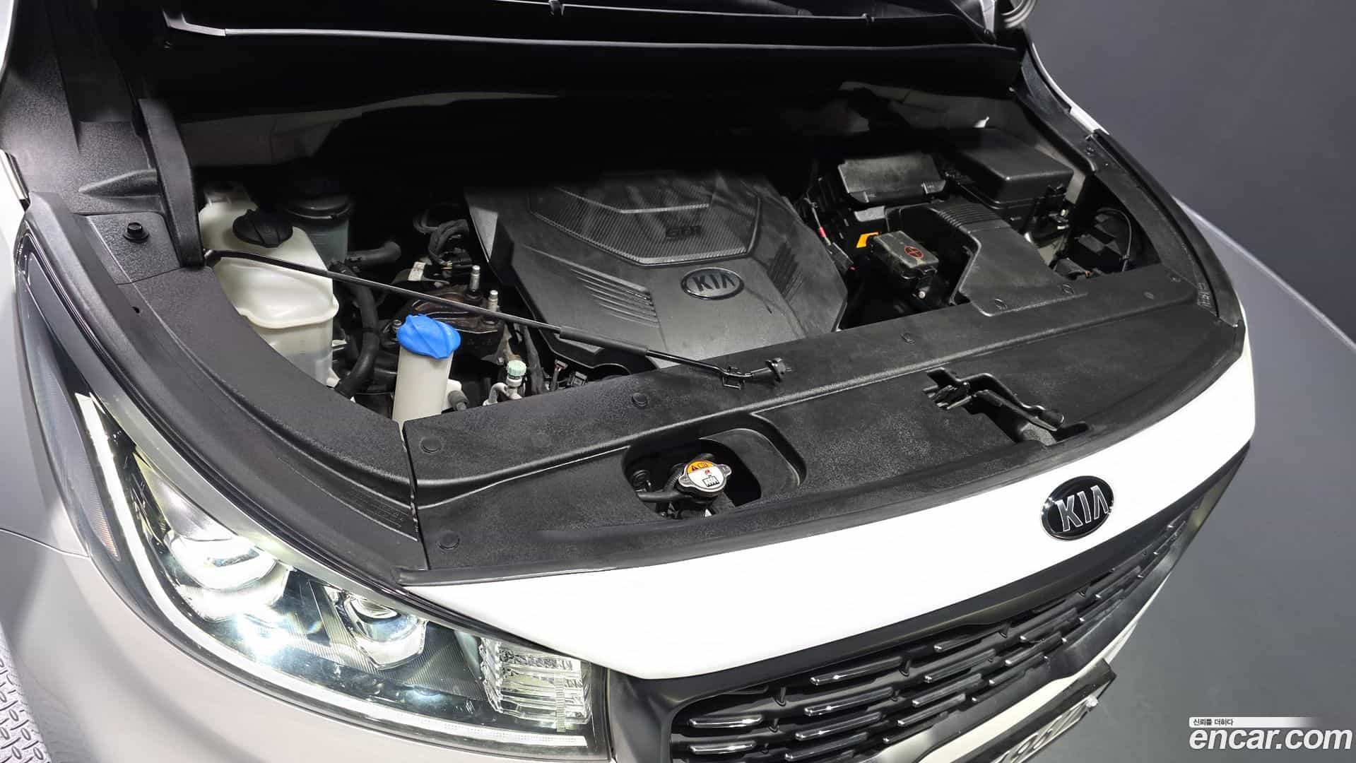 Canival Kia 2018.11-INNER-006