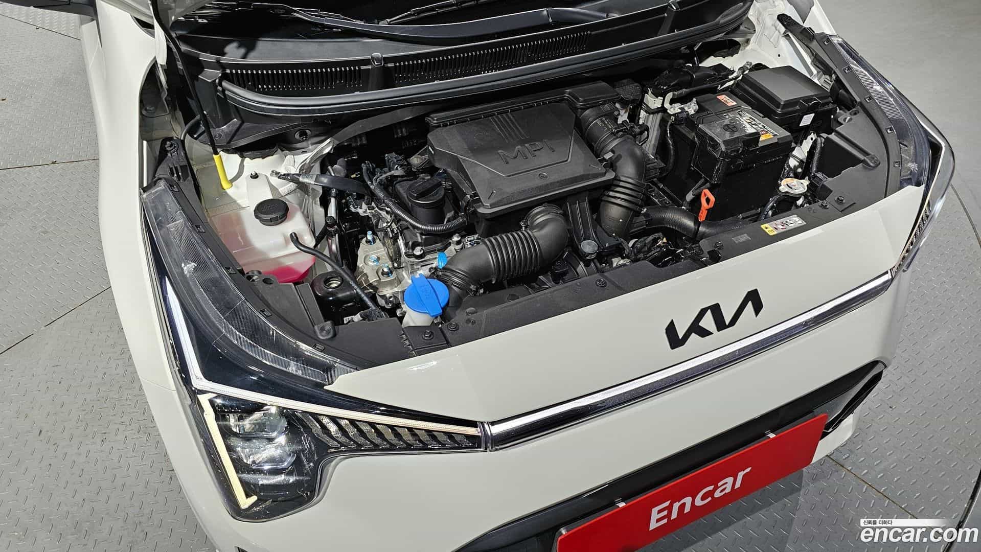 morning Kia 2025.1-OUTER-006