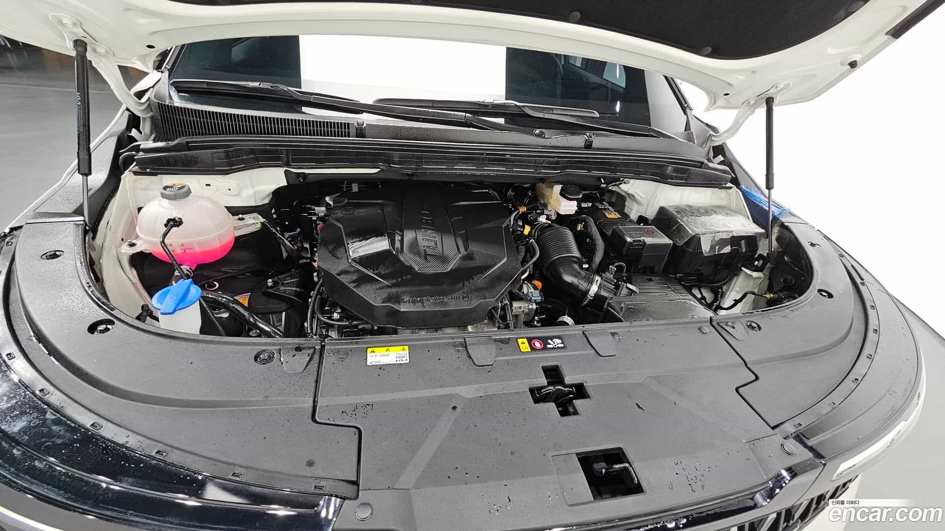 Canival Kia 2024.6-OUTER-006