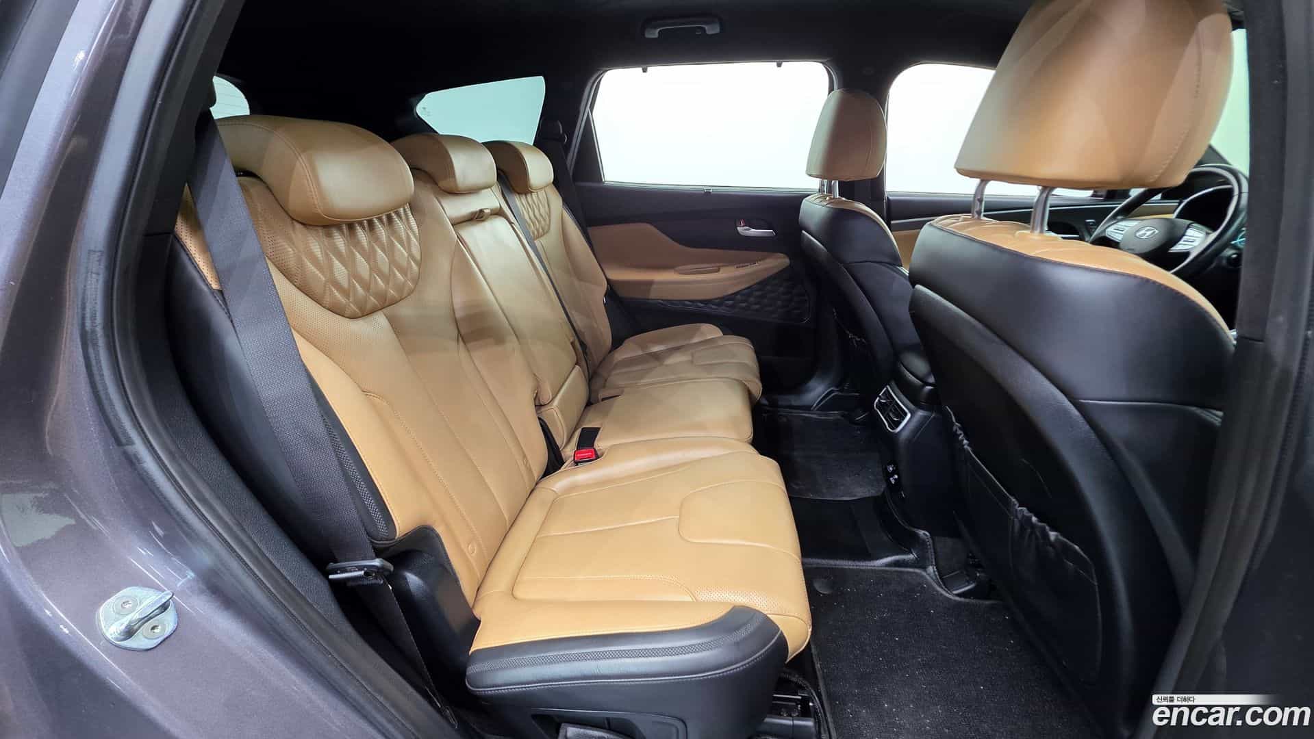 Santafe Hyundai 2021.6-OPTION-023