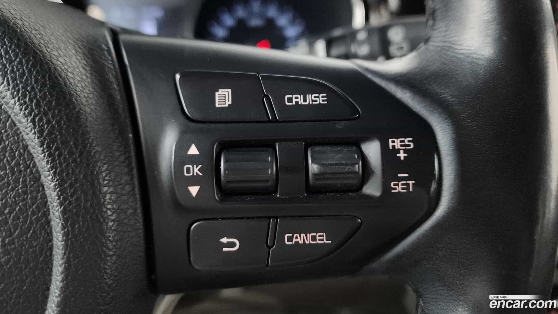 Canival Kia 2018.3-OPTION-018
