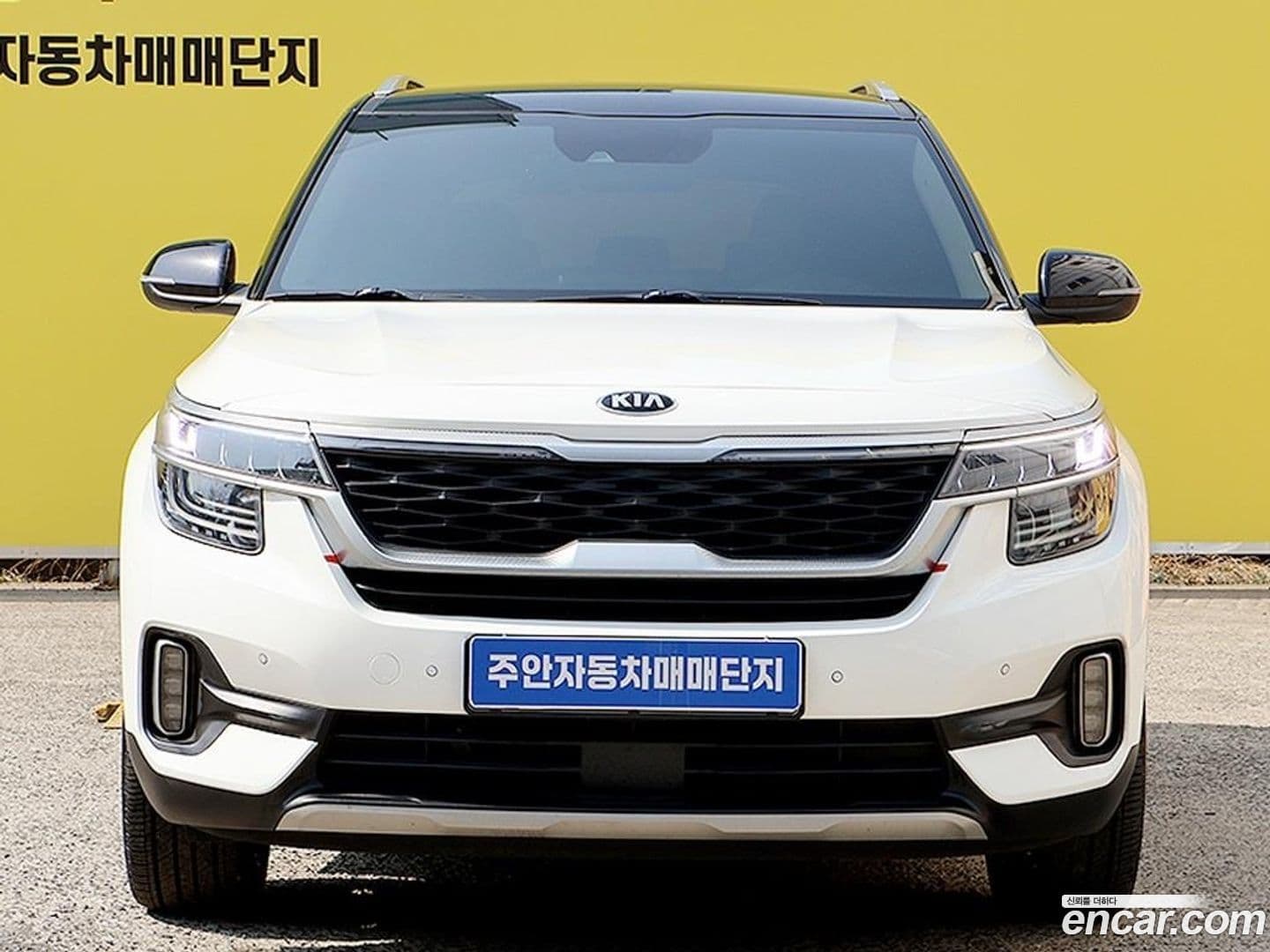 Main__Slider__Photo:Seltos Kia 2019.7-0