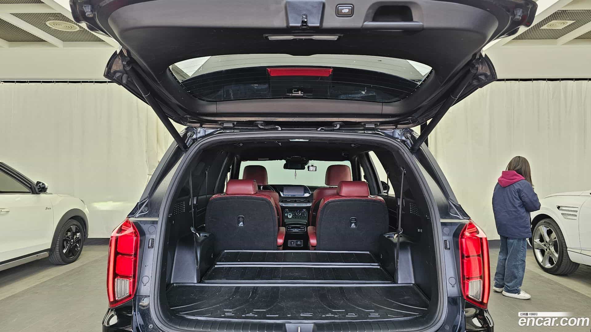 Palisade Hyundai 2020.0-OPTION-024