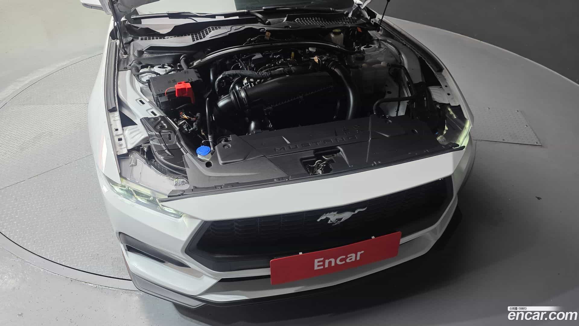 Mustang Ford 2024.6-OUTER-006