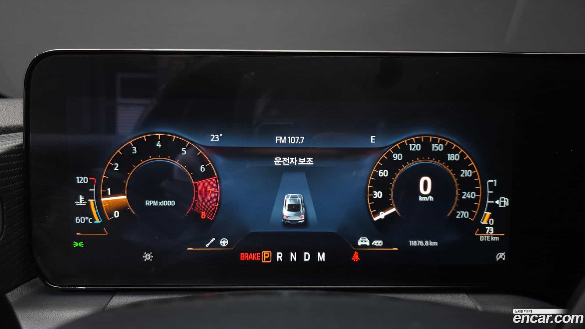 Mustang Ford 2024.6-INNER-008