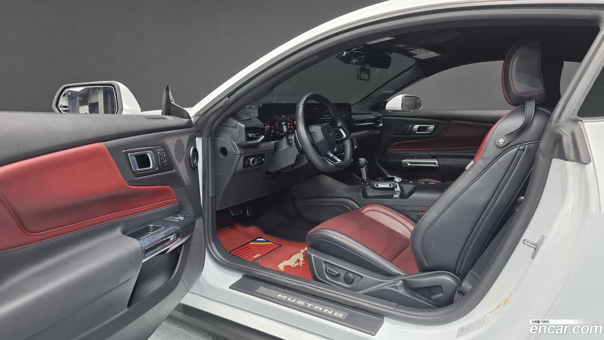 Mustang Ford 2024.6-OPTION-015