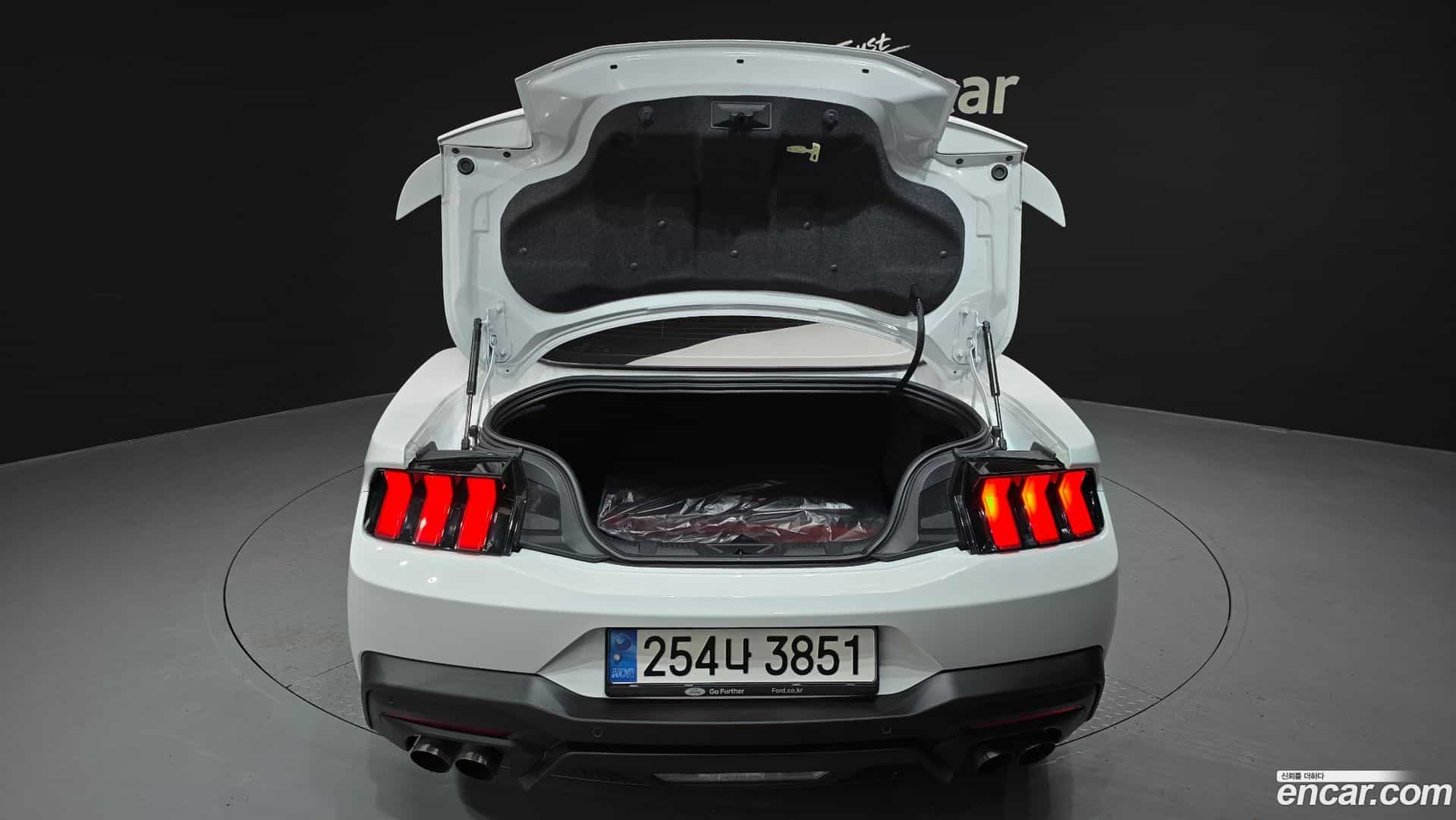 Mustang Ford 2024.6-OPTION-024