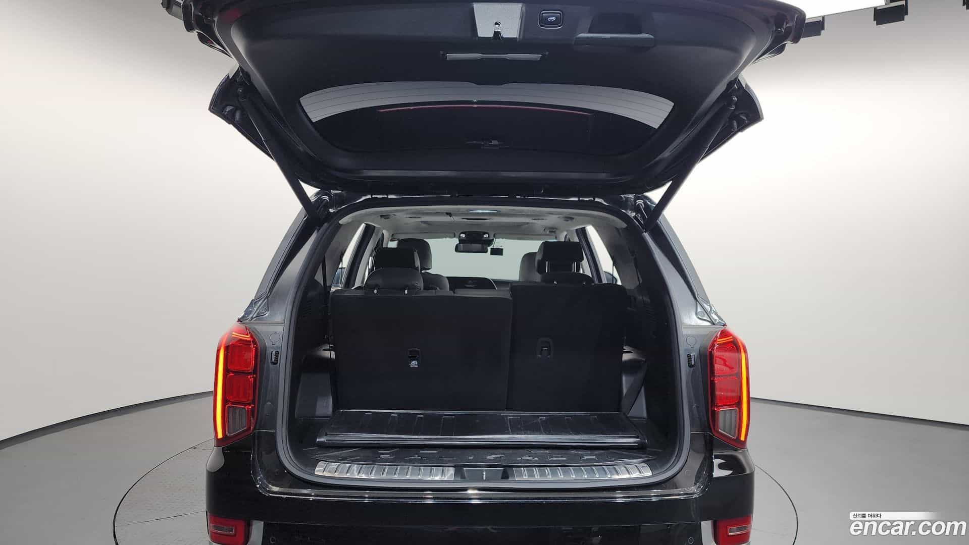 Palisade Hyundai 2020.11-OPTION-024