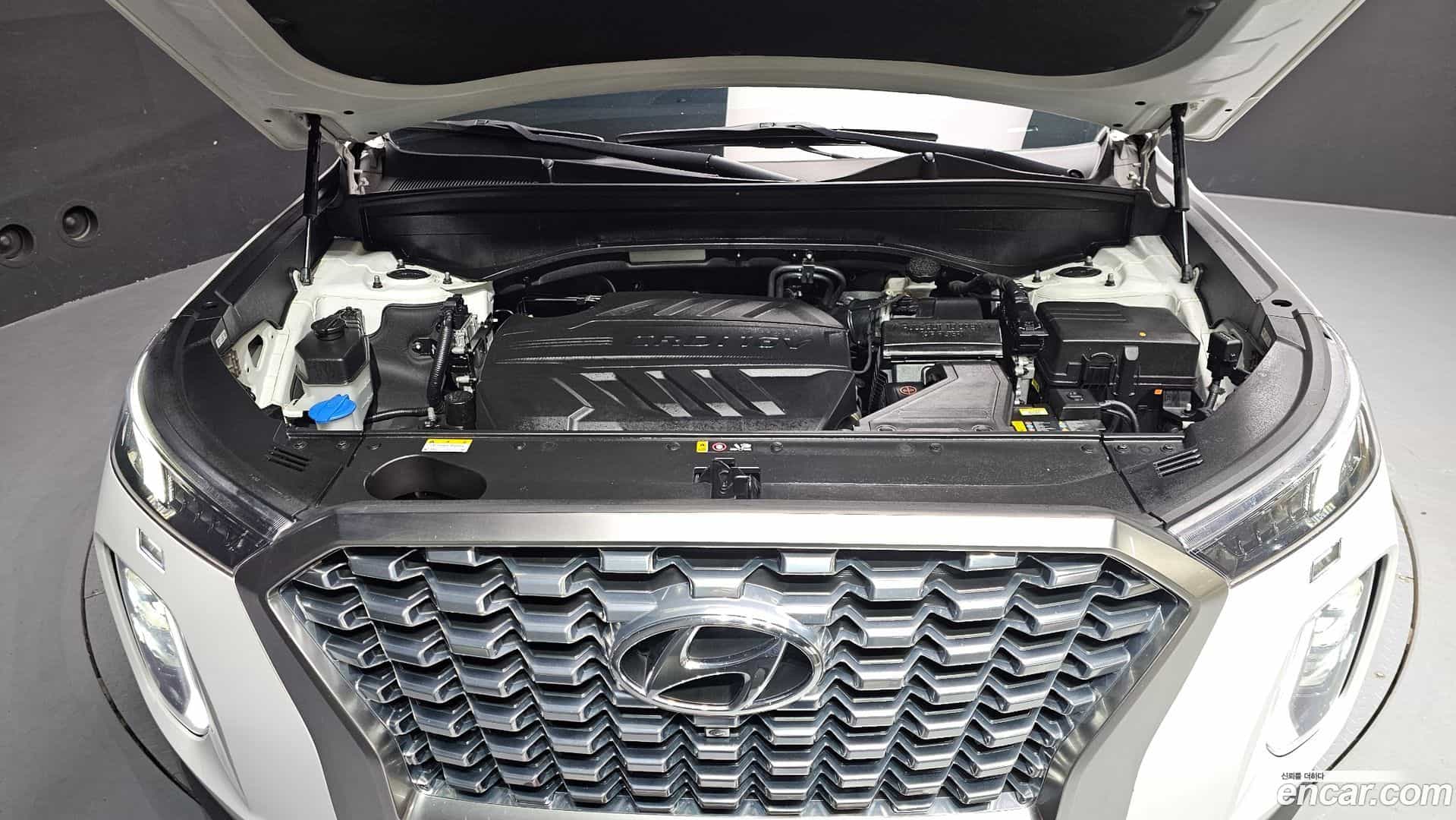 Palisade Hyundai 2019.9-OUTER-006