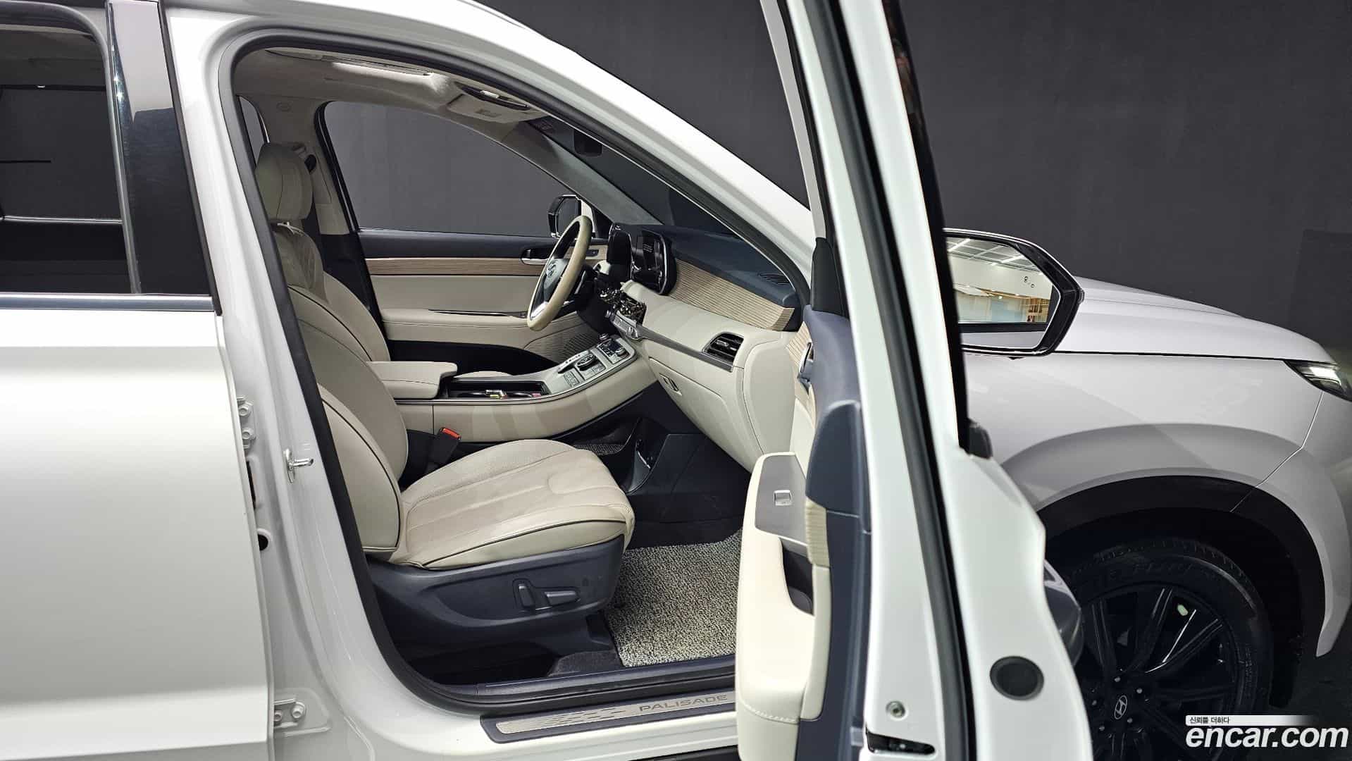 Palisade Hyundai 2019.9-OPTION-015