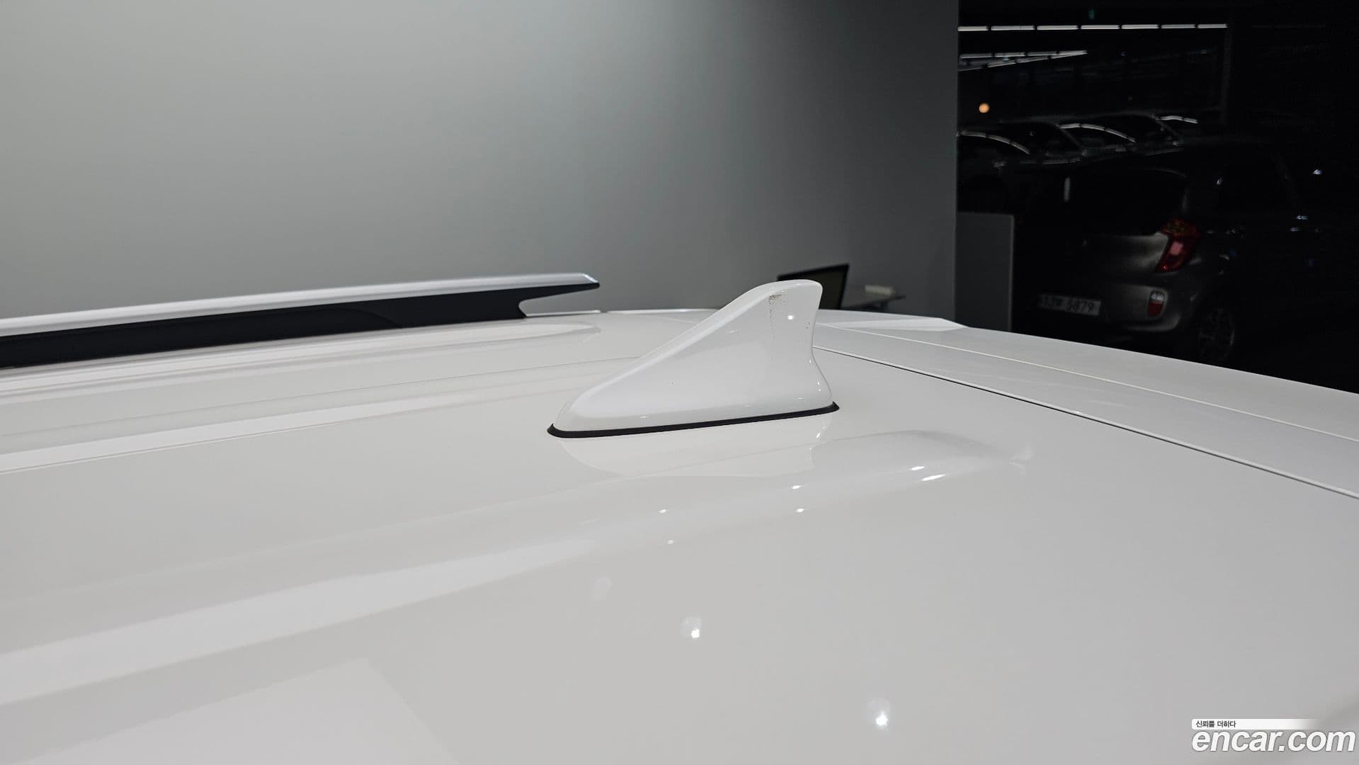 Main__Slider__Photo:Seltos Kia 2022.6-26