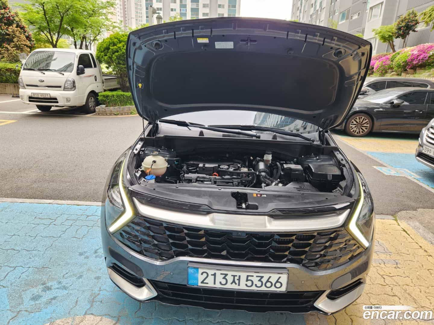 Sportage Kia 2023.8-OPTION-023
