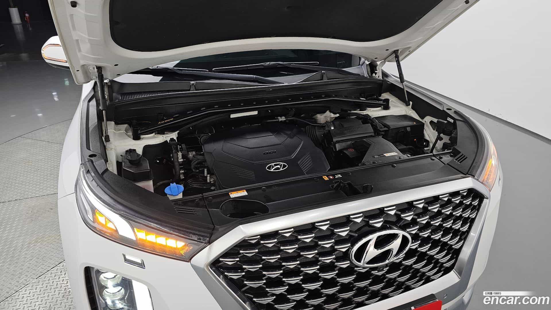 Palisade Hyundai 2020.10-OUTER-006