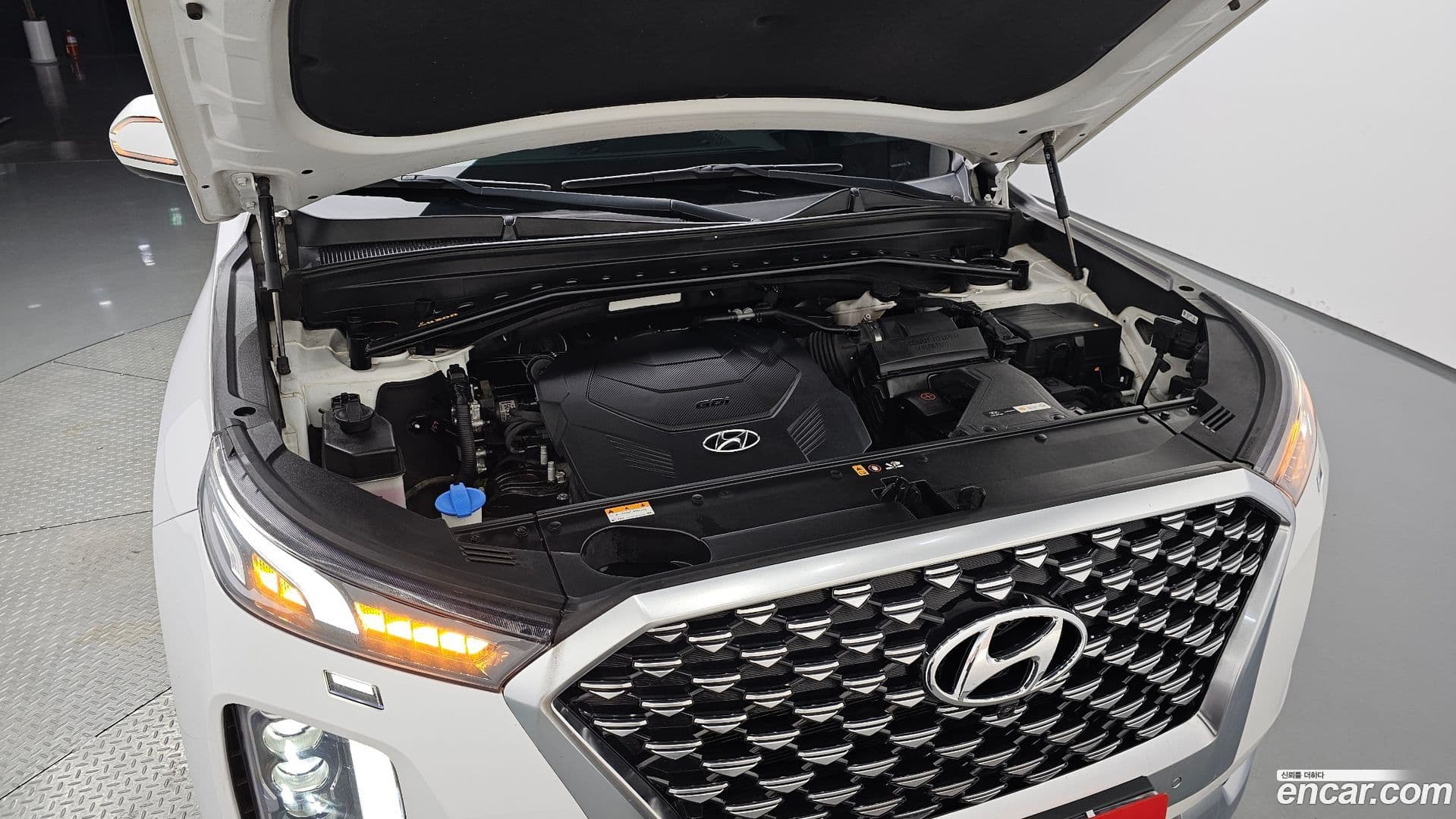 Main__Slider__Photo:Palisade Hyundai 2020.10-5