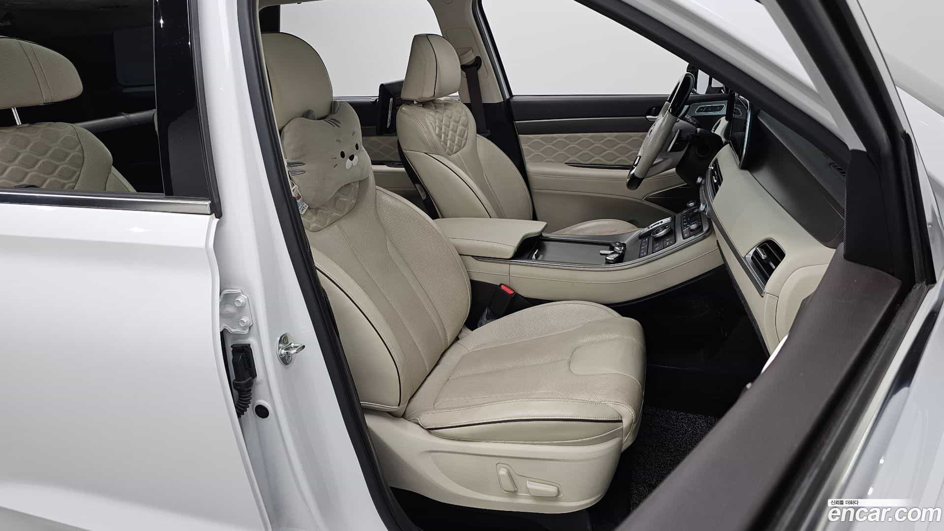 Palisade Hyundai 2020.10-OPTION-015
