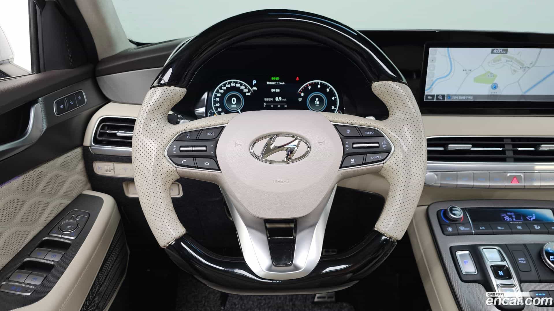Palisade Hyundai 2020.10-OPTION-017
