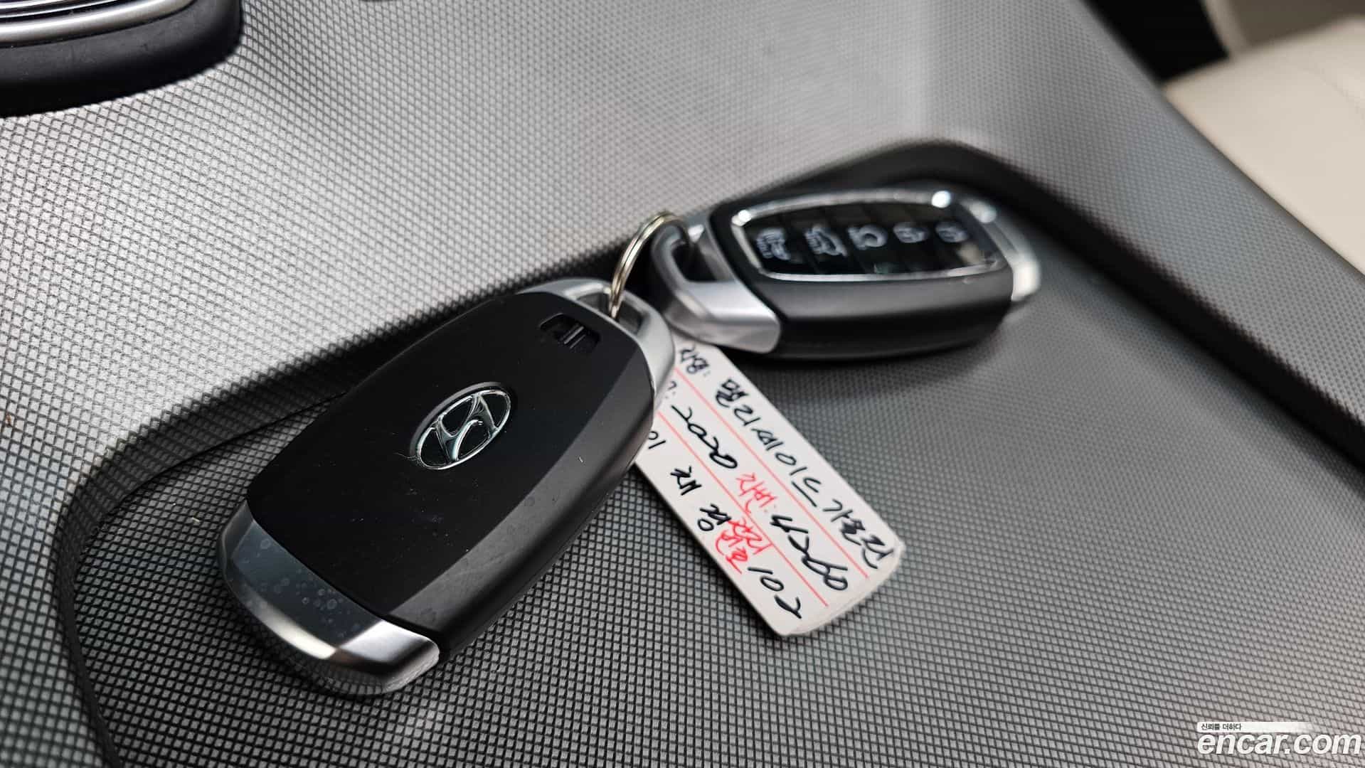 Palisade Hyundai 2020.10-OPTION-045