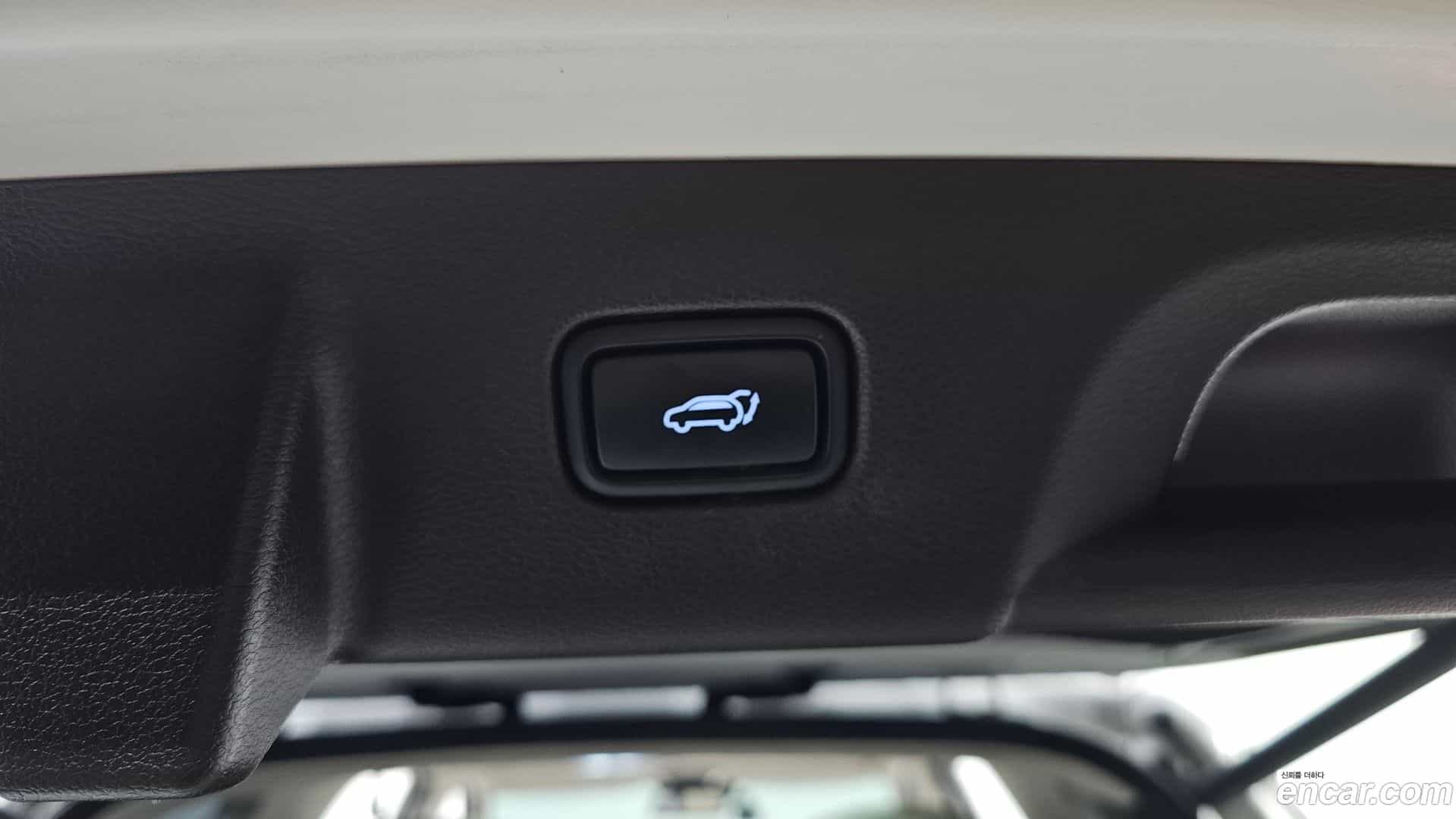 Palisade Hyundai 2020.10-OPTION-046