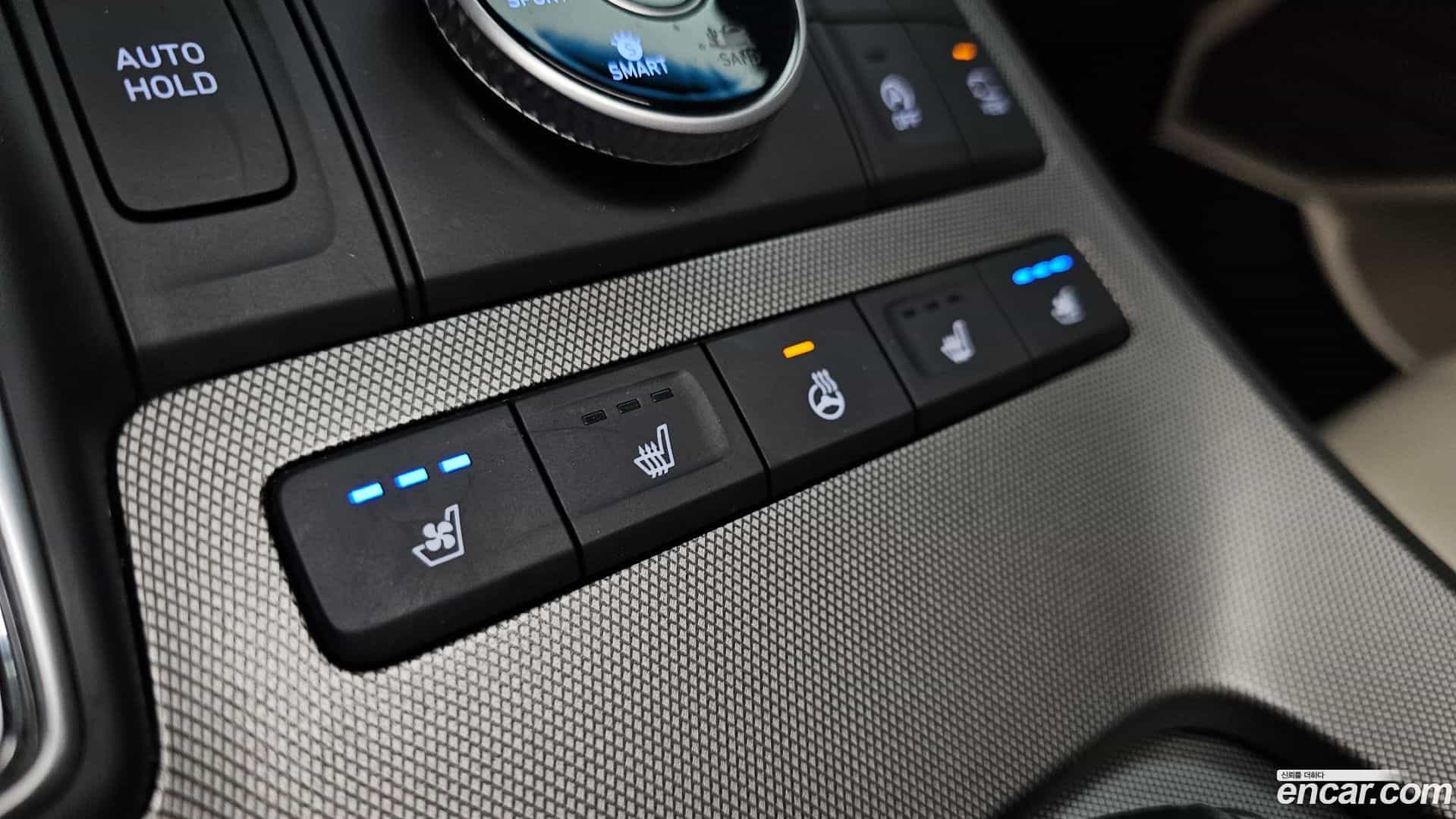 Palisade Hyundai 2020.10-OPTION-047