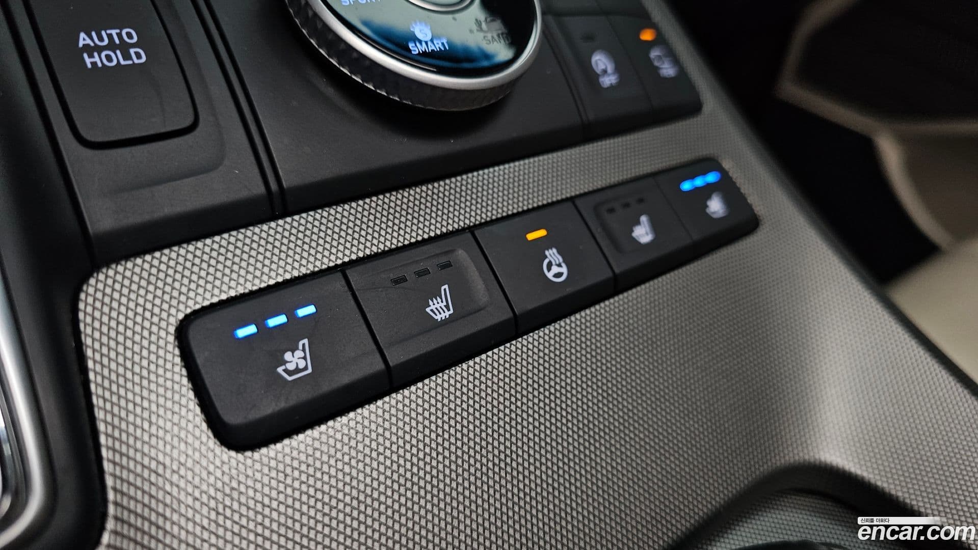 Main__Slider__Photo:Palisade Hyundai 2020.10-32