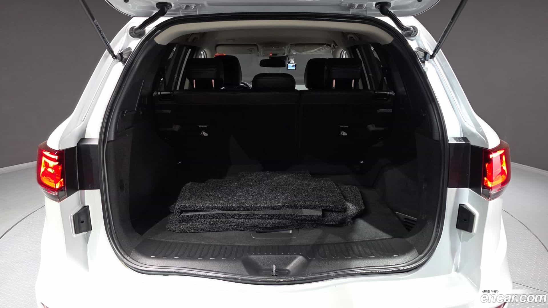 QM6 Renault Korea 2021.5-OPTION-024
