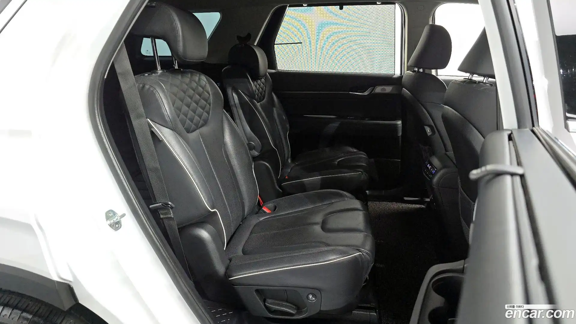 Palisade Hyundai 2019.0-OPTION-015