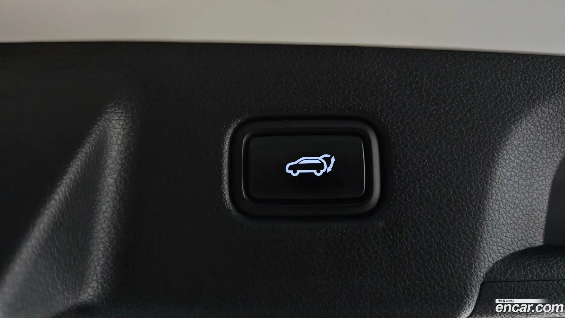 Palisade Hyundai 2019.0-OPTION-024