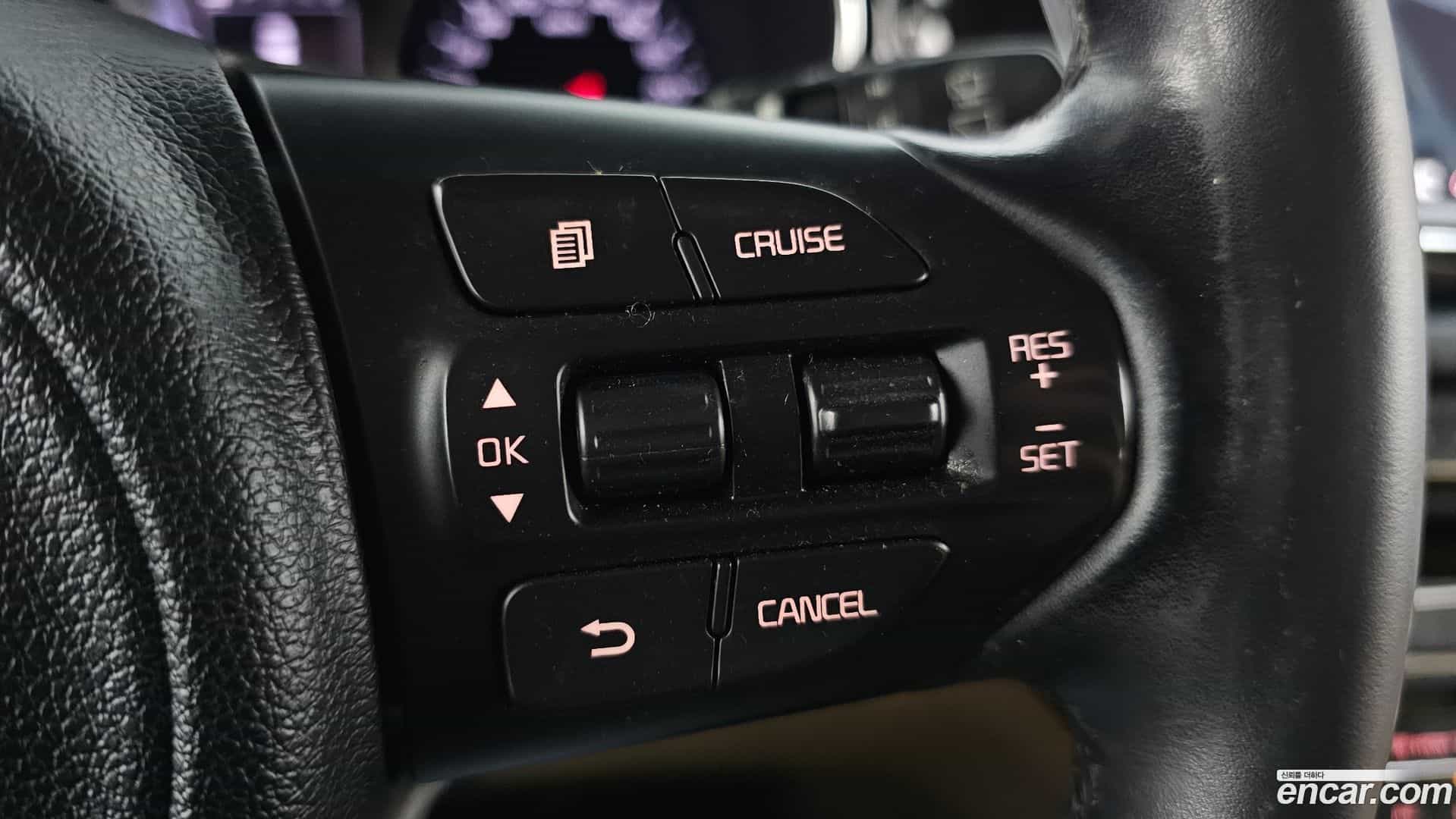 Canival Kia 2017.2-OPTION-021