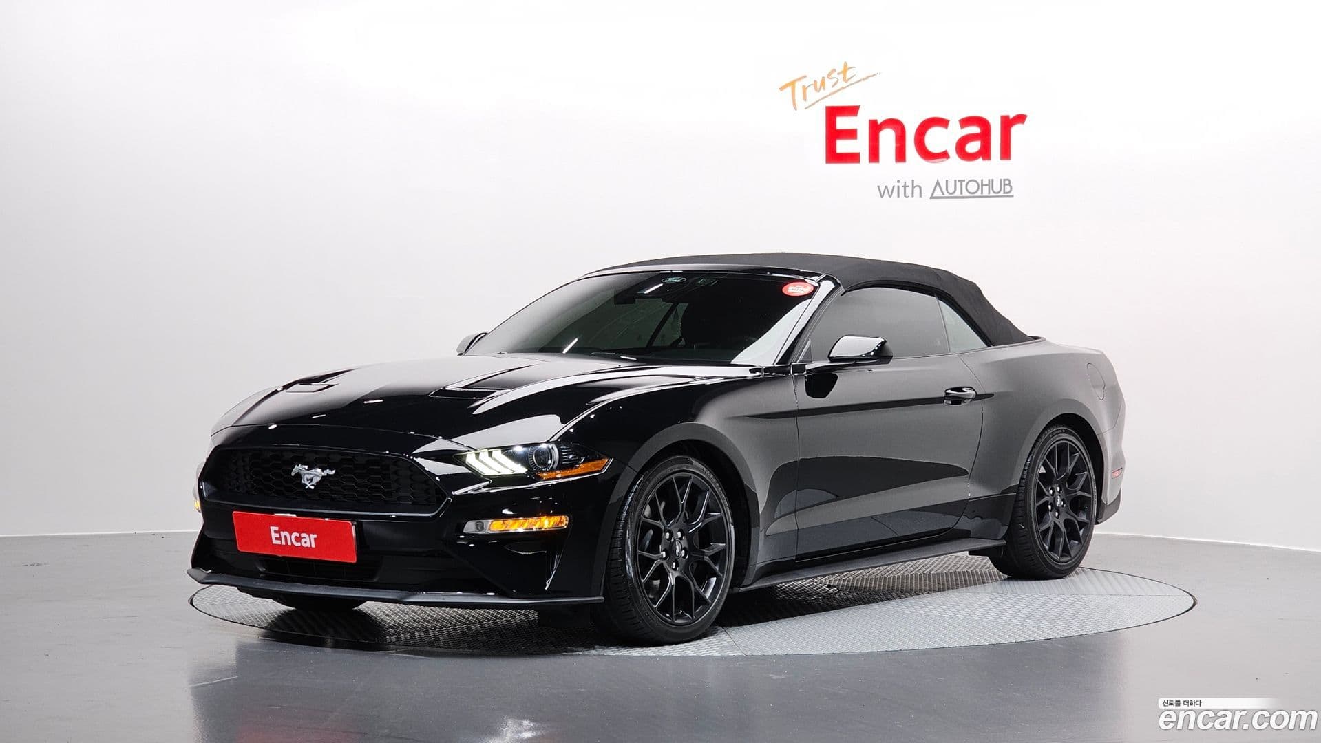 Main__Slider__Photo:Mustang Ford 2022.11-0