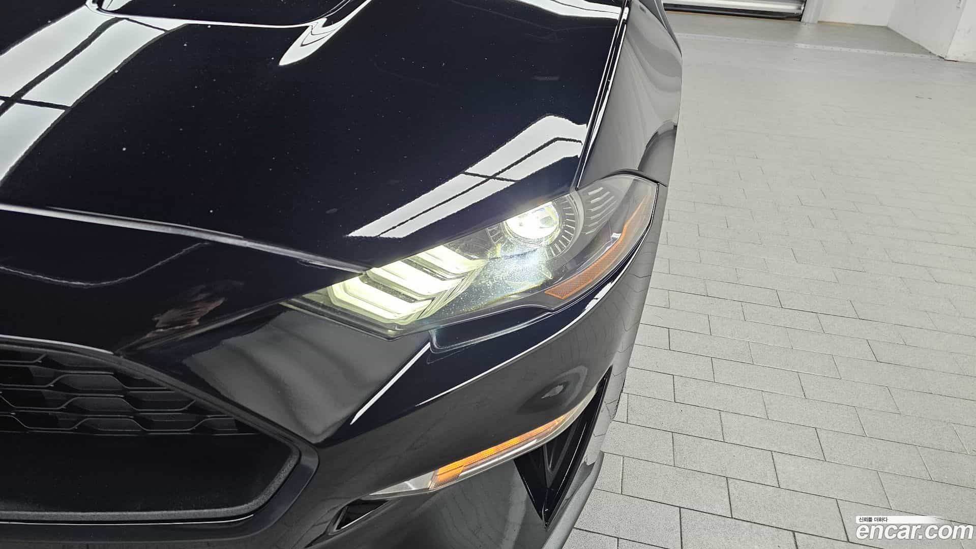 Mustang Ford 2022.11-OUTER-032