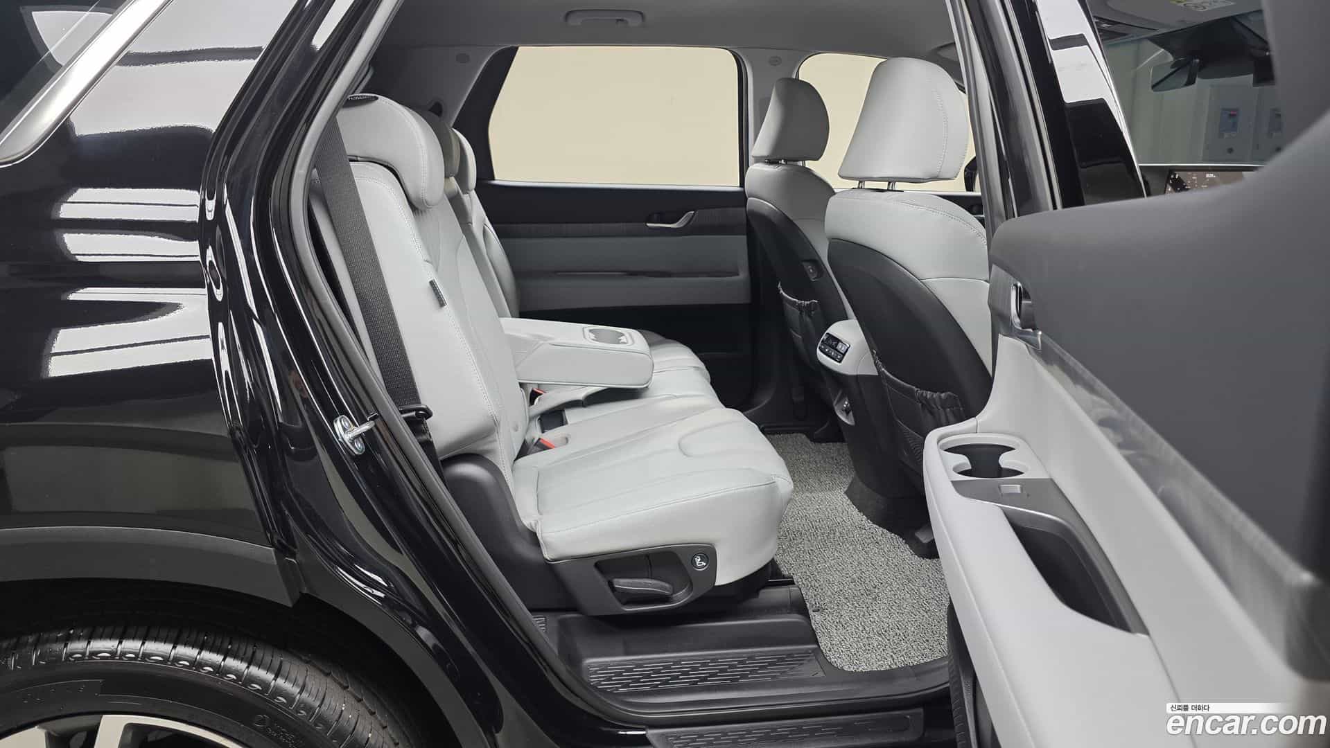 Palisade Hyundai 2024.9-OPTION-016