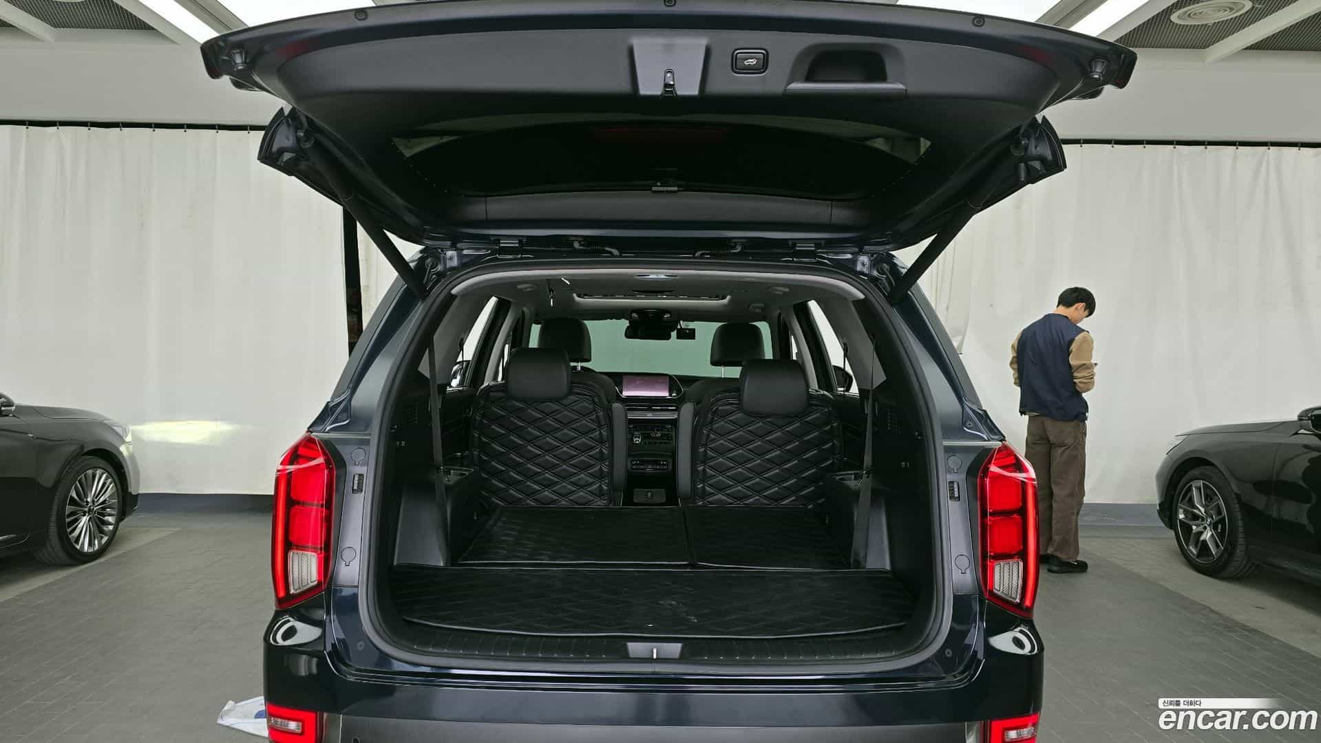 Palisade Hyundai 2019.0-OPTION-024