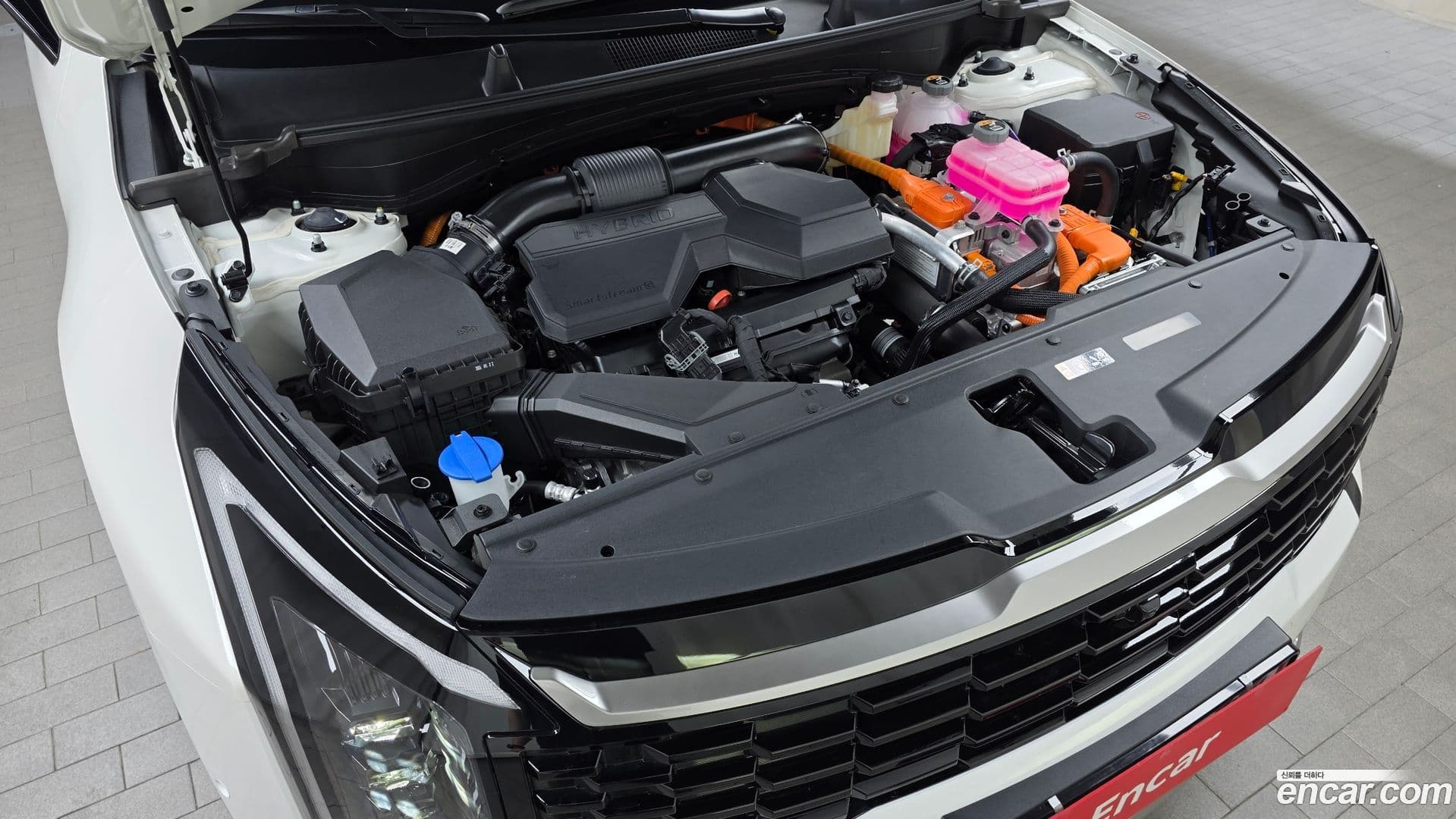 Main__Slider__Photo:Sportage Kia 2025.2-5