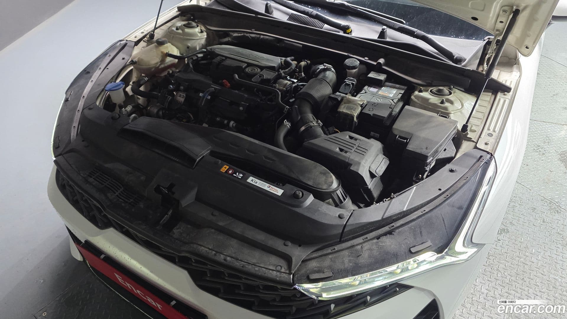 Main__Slider__Photo:K5 Kia 2021.11-5