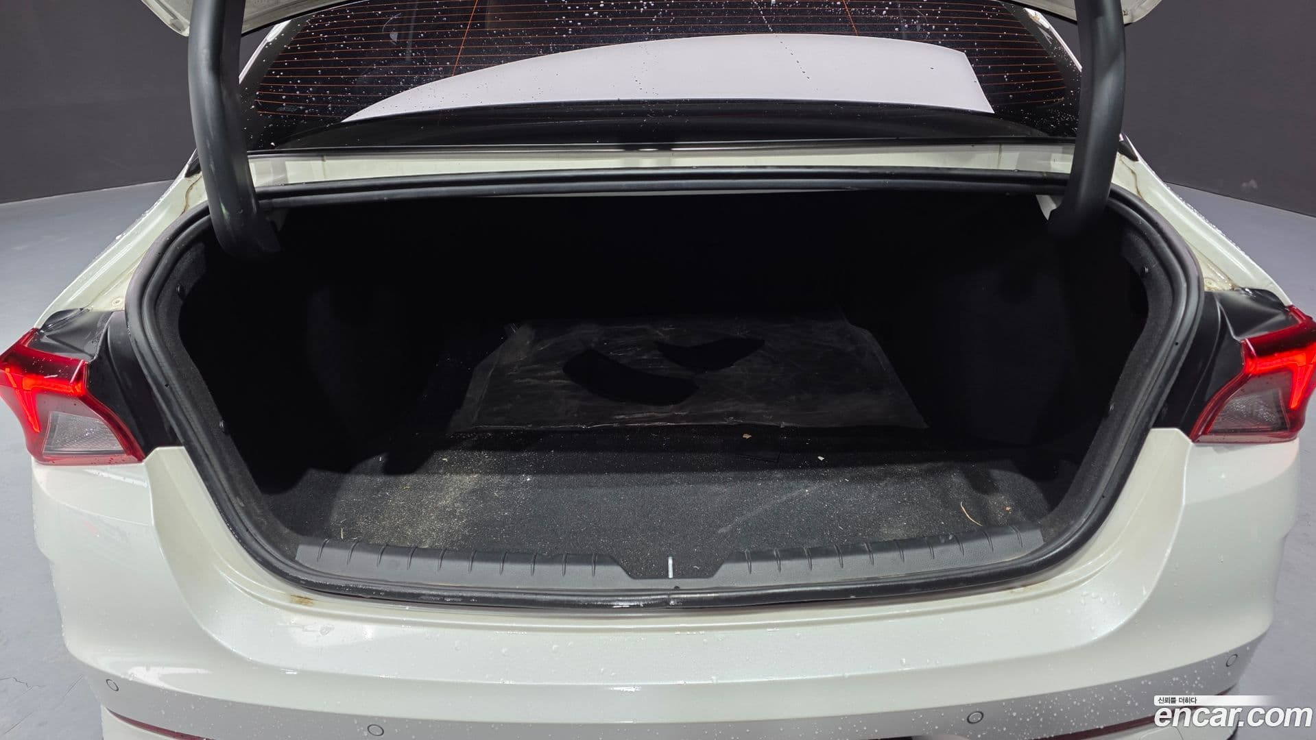 Main__Slider__Photo:K5 Kia 2021.11-19