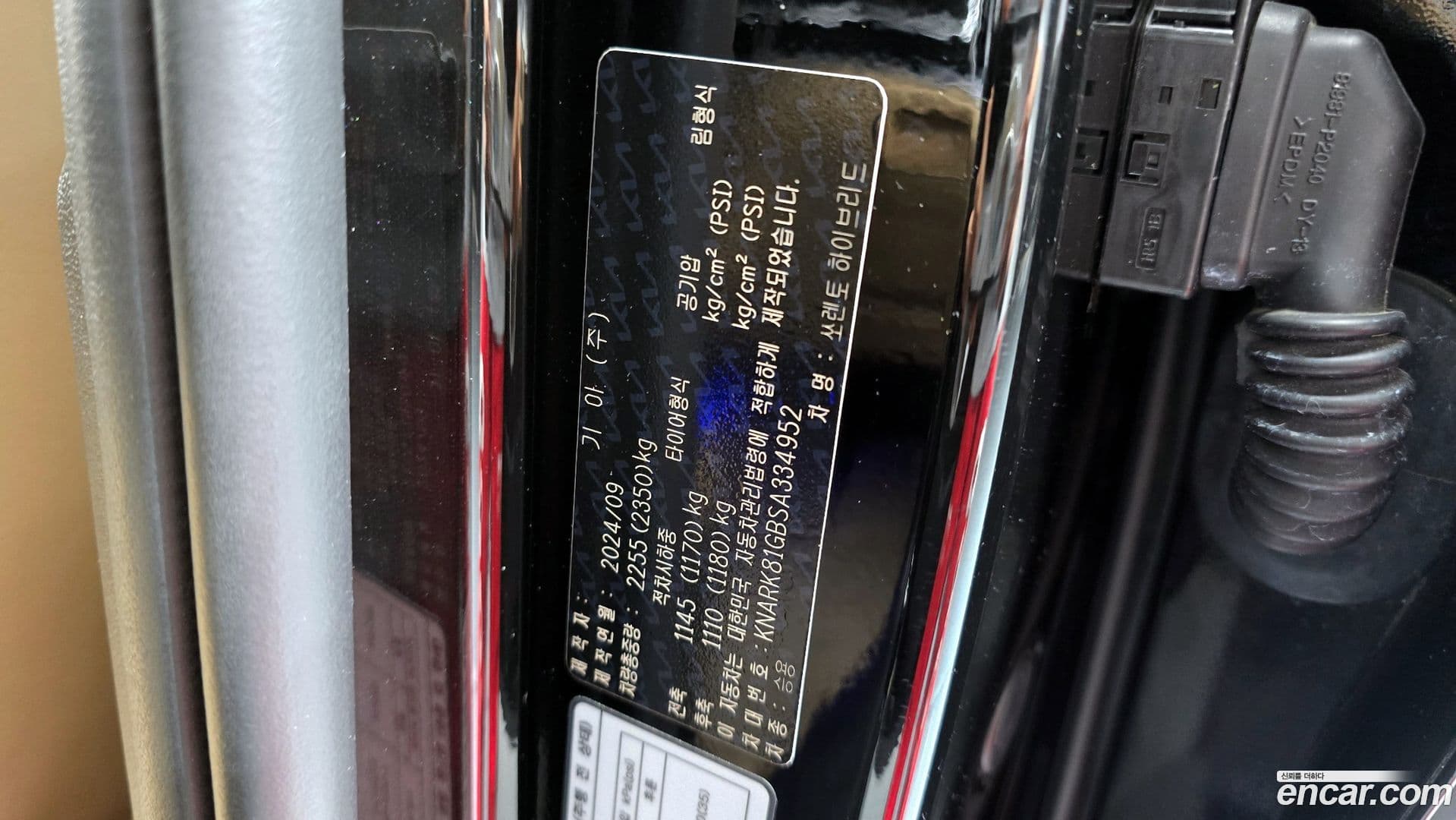 Main__Slider__Photo:Sorento Kia 2024.8-34