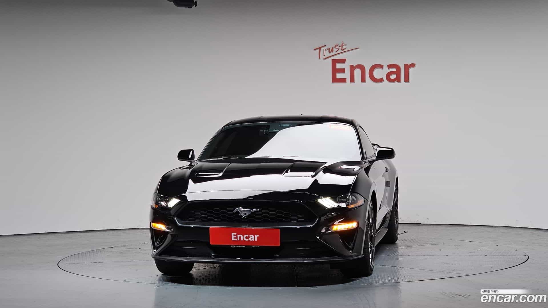 Mustang Ford 2020.8-OUTER-003