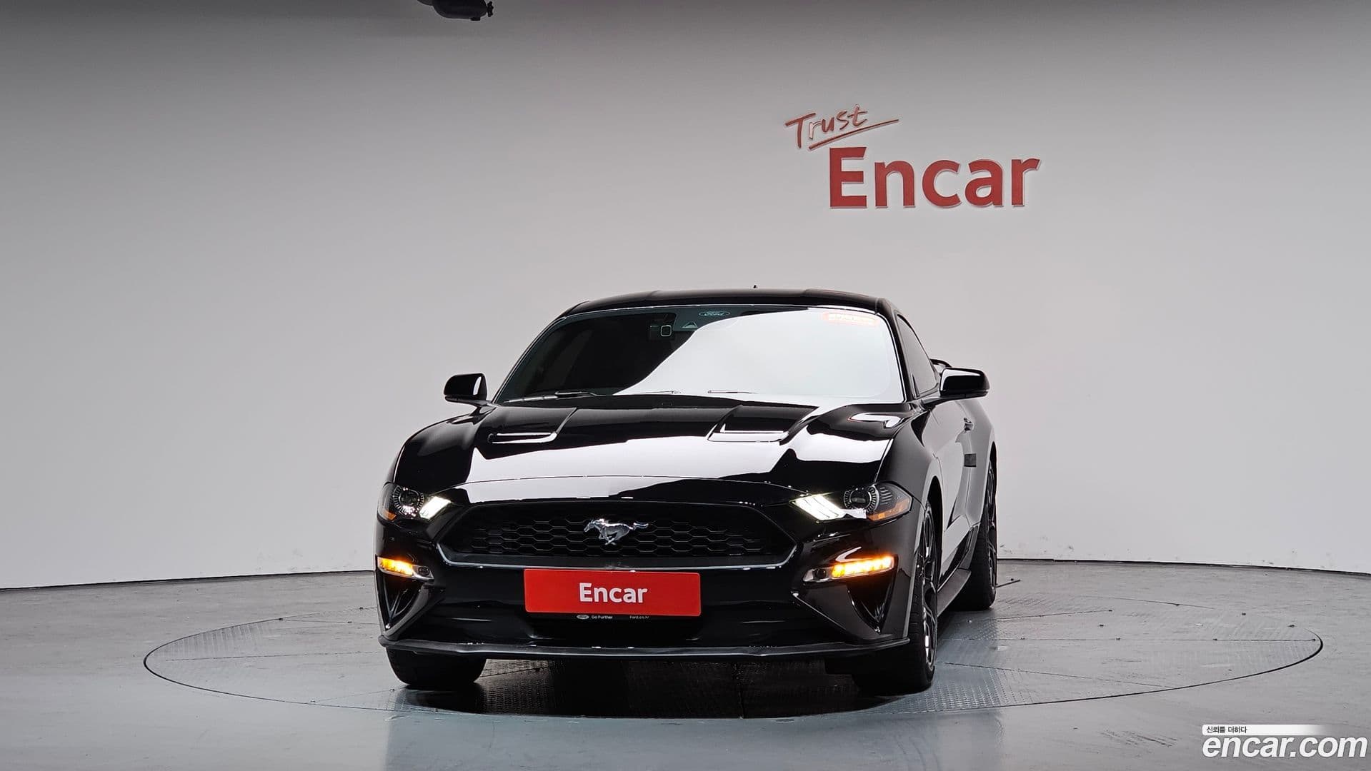 Main__Slider__Photo:Mustang Ford 2020.8-2