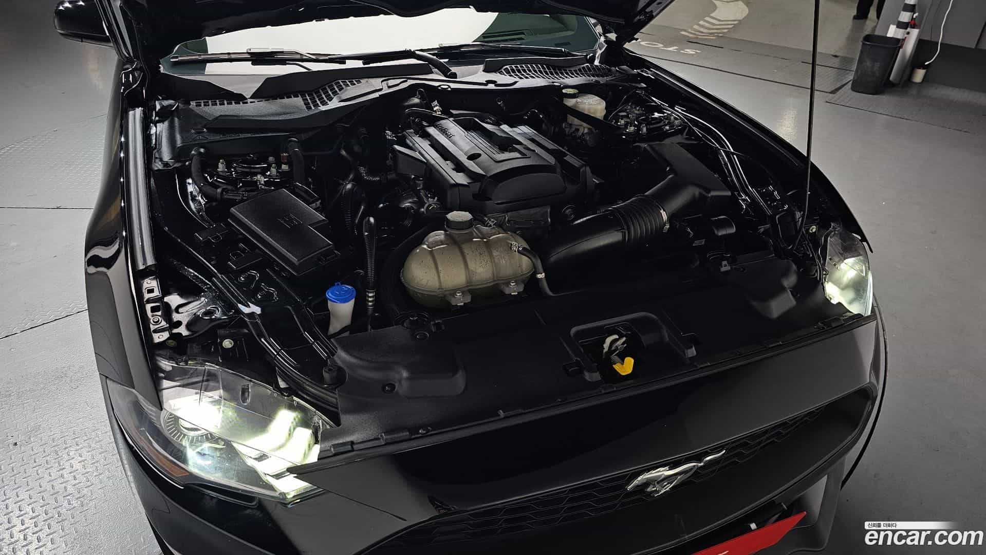 Mustang Ford 2020.8-OUTER-006