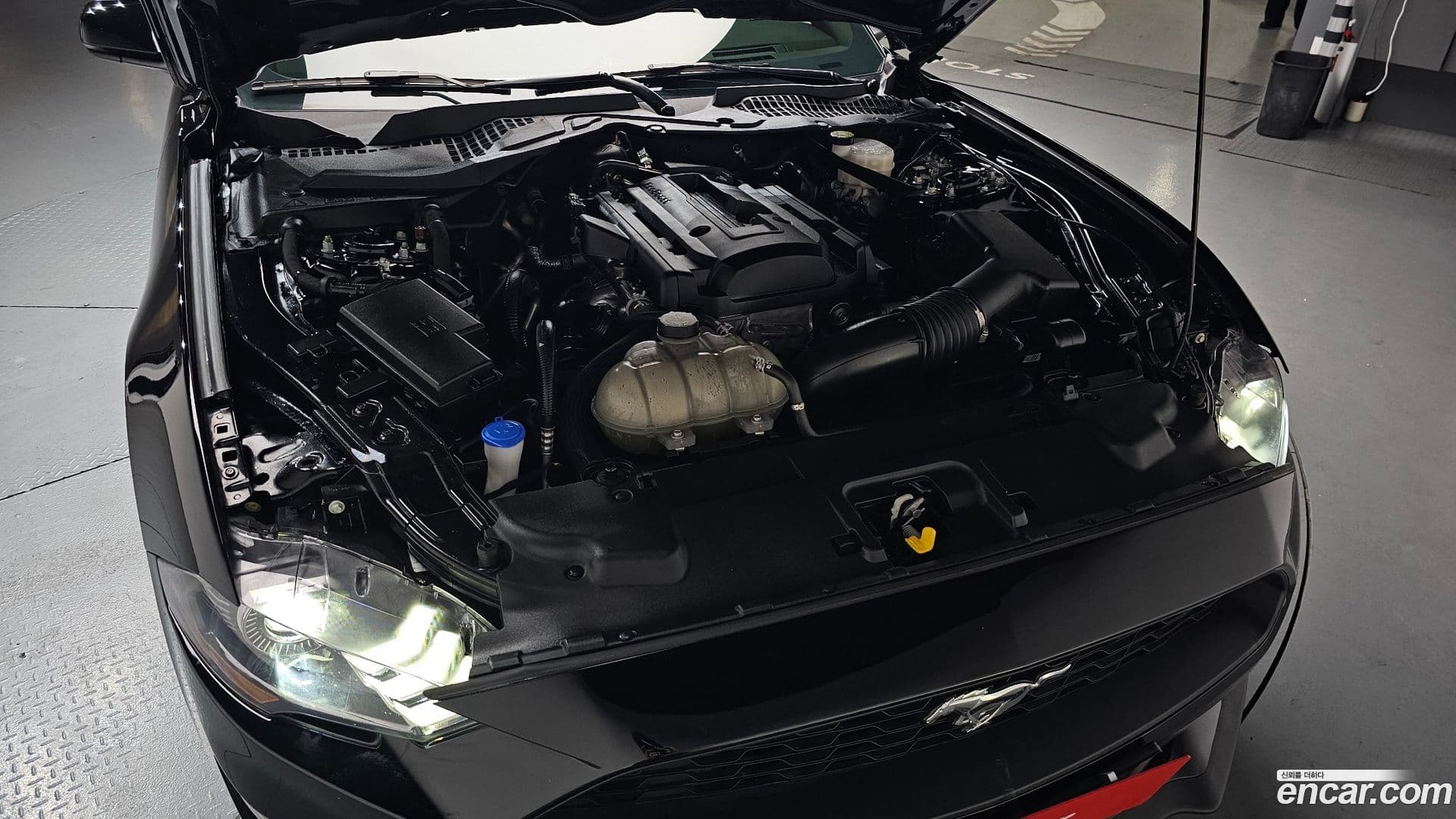 Main__Slider__Photo:Mustang Ford 2020.8-5