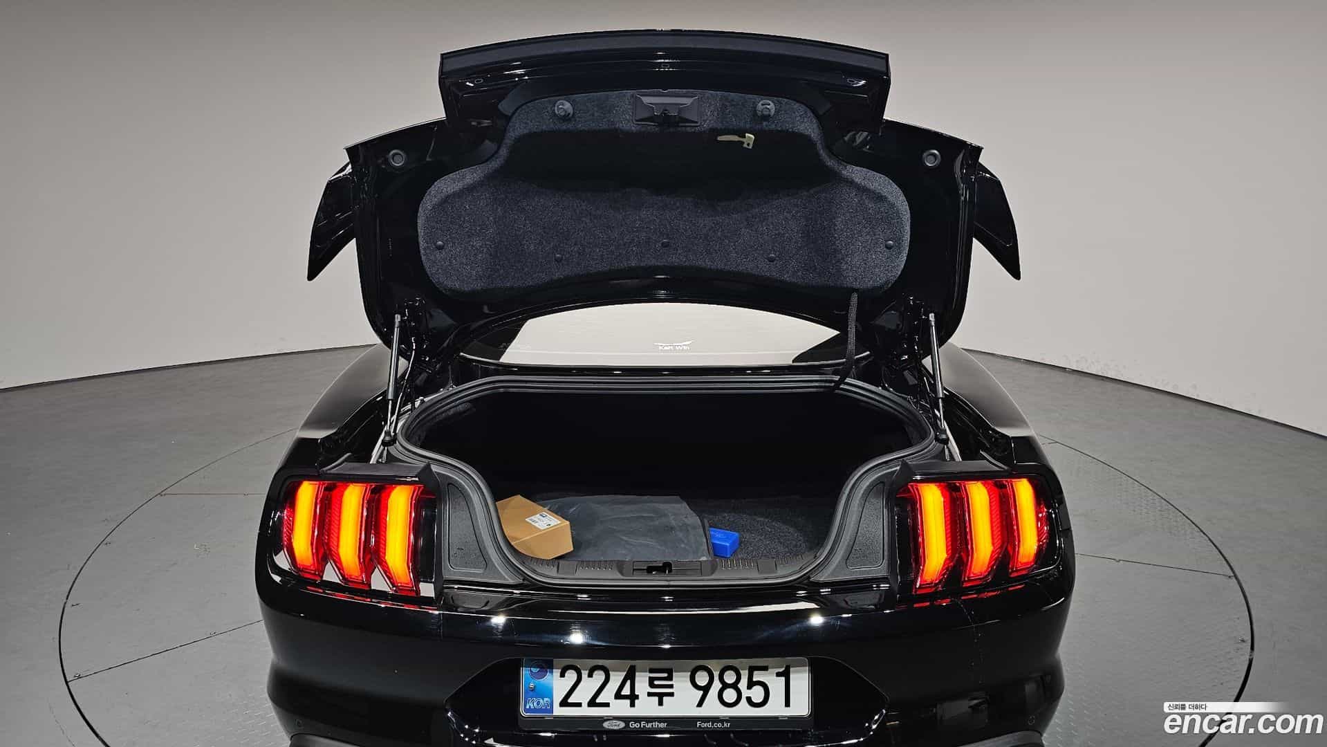 Mustang Ford 2020.8-OPTION-024