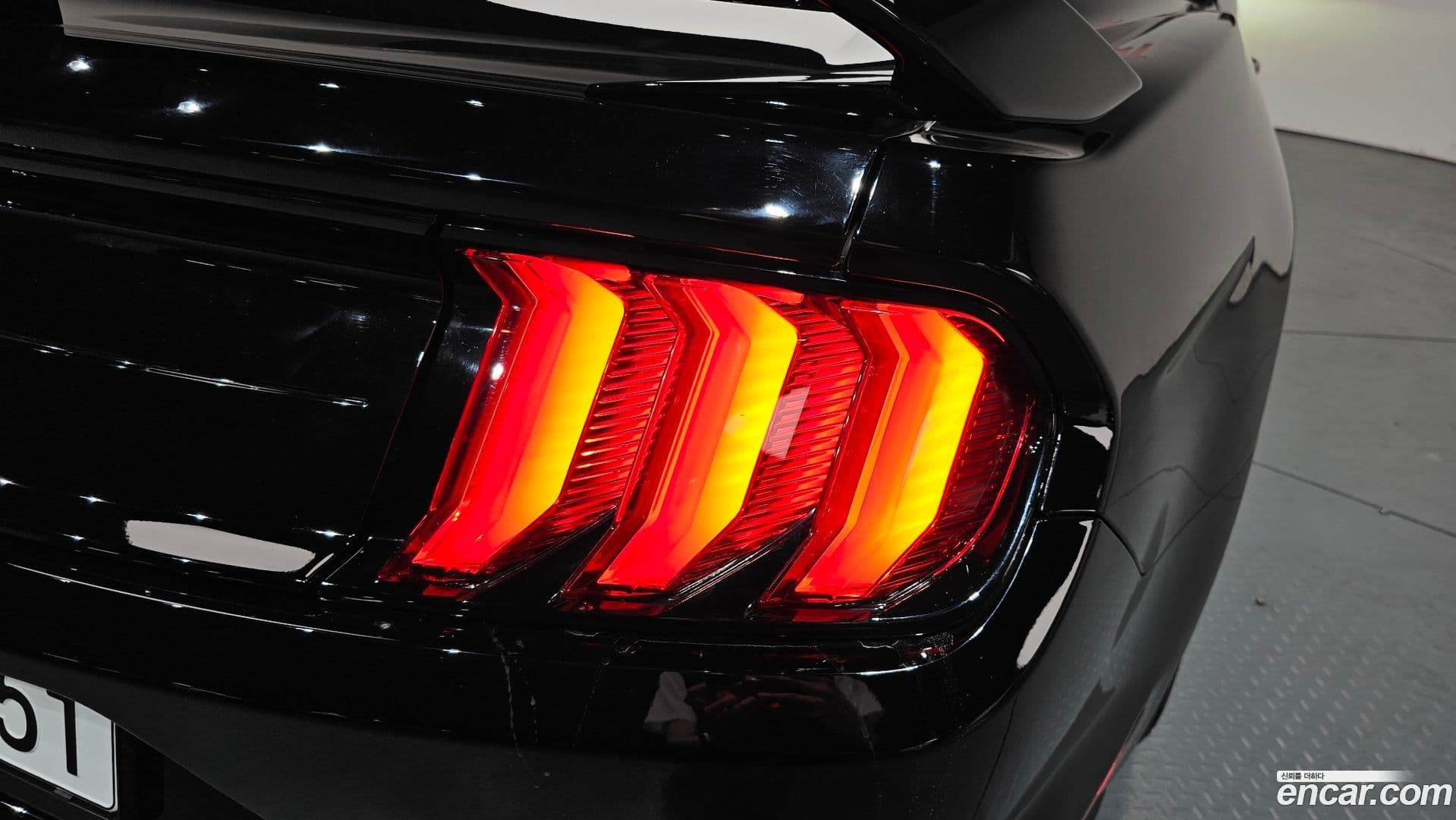 Main__Slider__Photo:Mustang Ford 2020.8-22