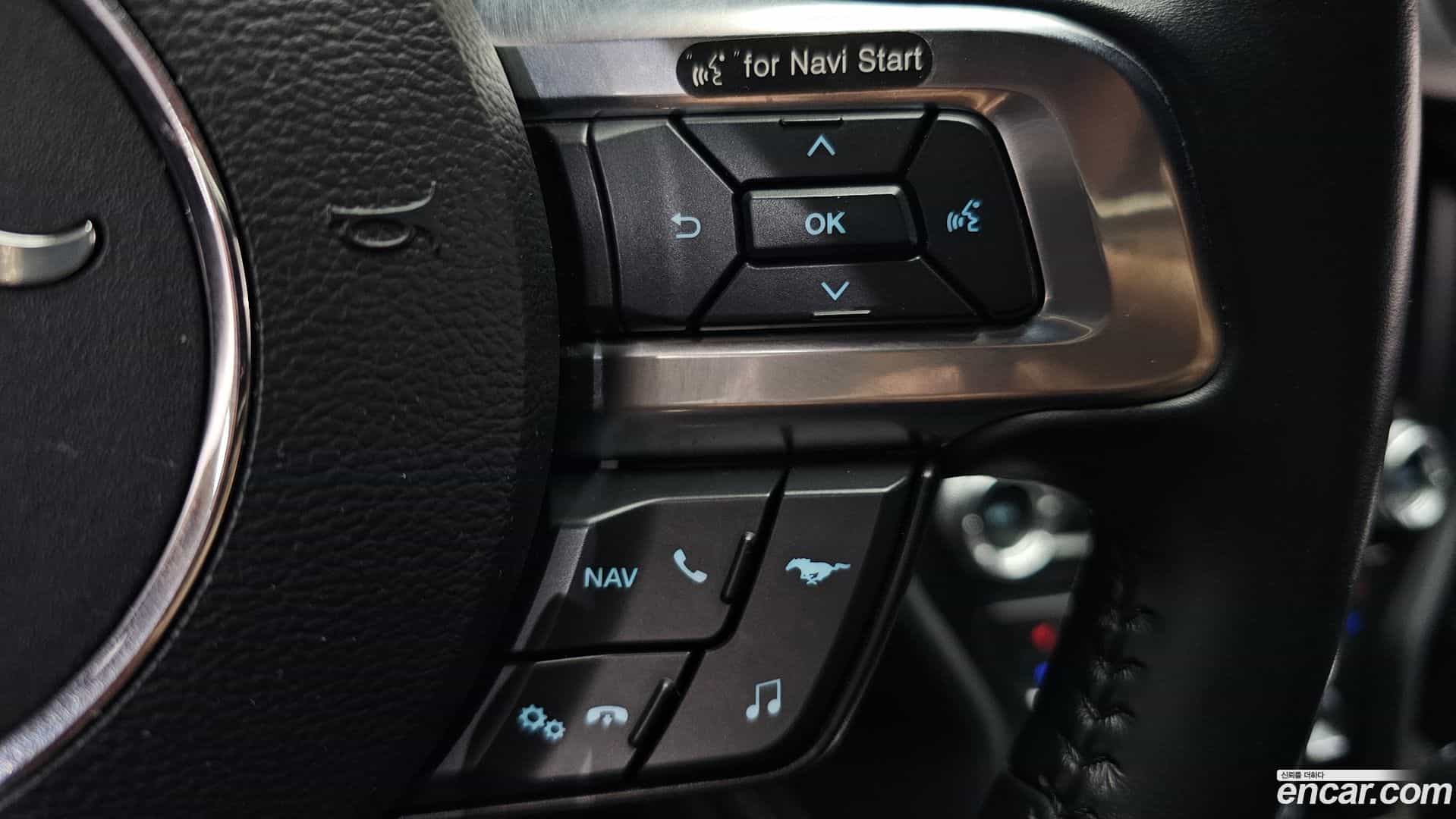 Mustang Ford 2020.8-OPTION-042