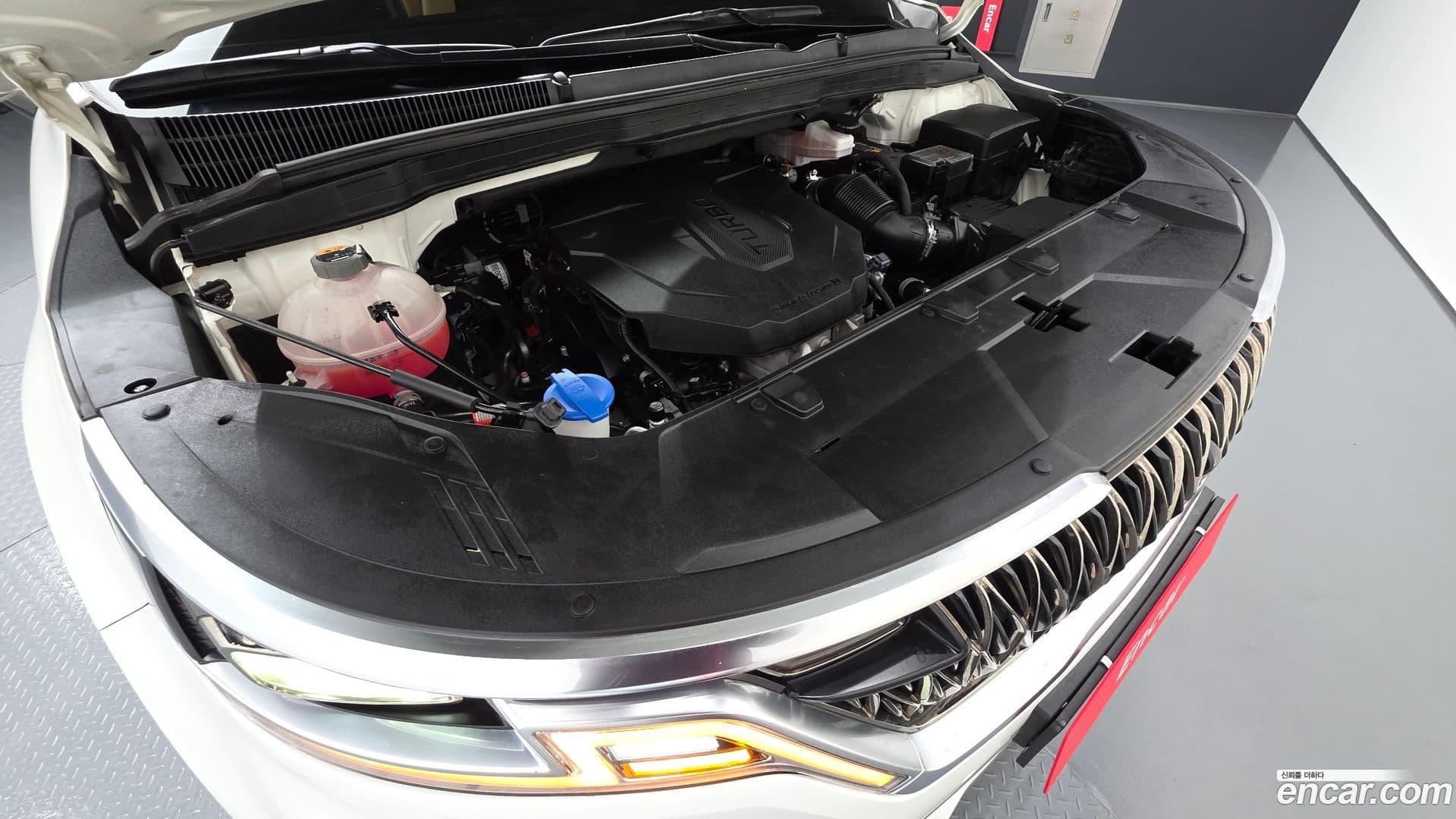 Main__Slider__Photo:Canival Kia 2021.0-5