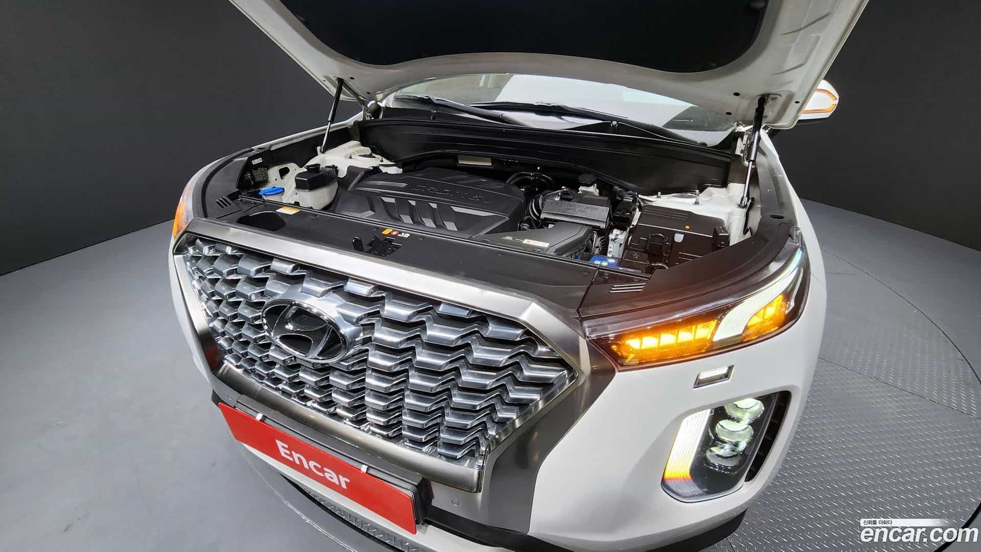 Palisade Hyundai 2019.7-OUTER-006