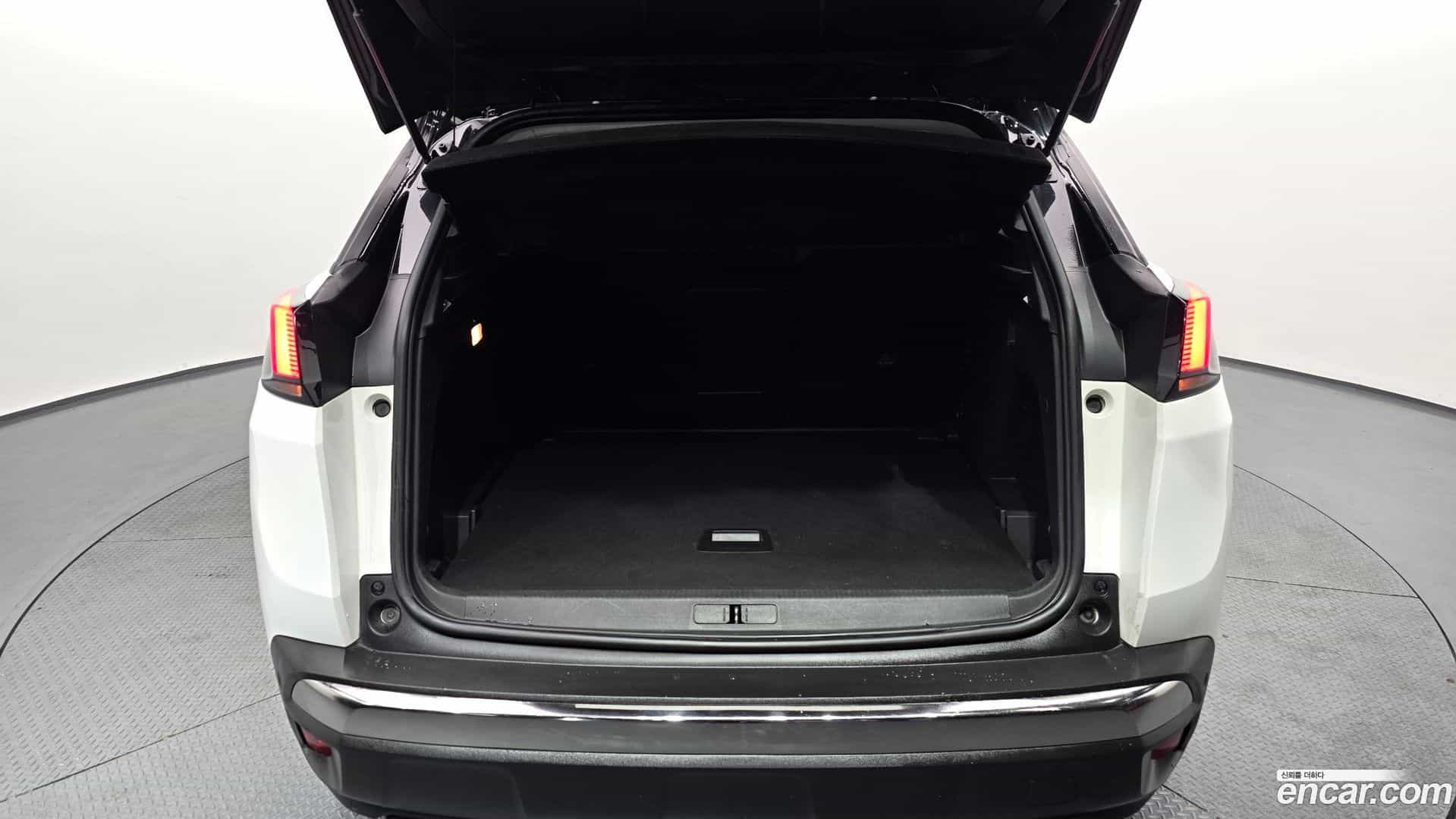 3008 Peugeot 2019.11-OPTION-024