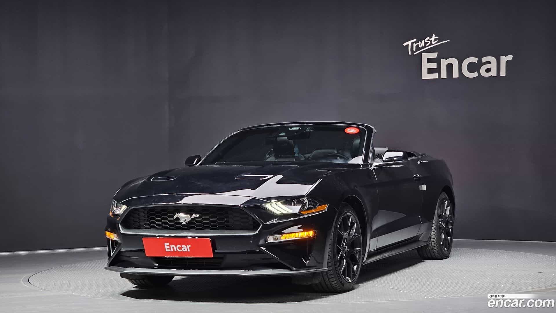 Mustang Ford 2023.8-OUTER-001